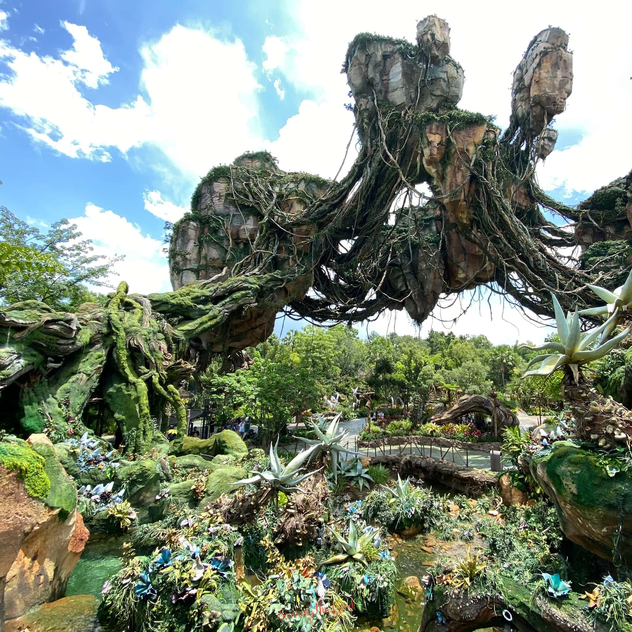 2048x2048 FREE Pandora: The World of Avatar Background. Savoring The Good®