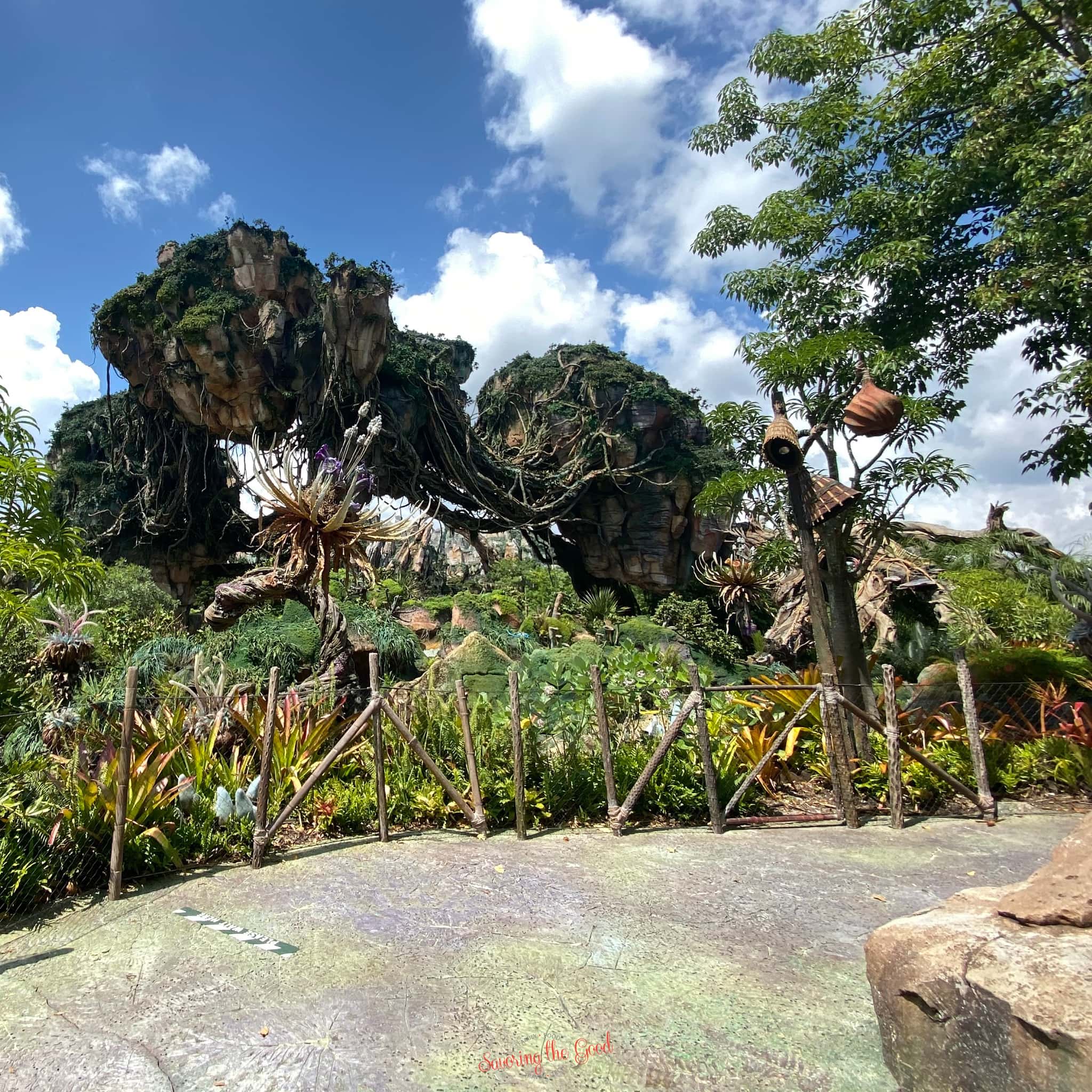 2048x2048 FREE Pandora: The World of Avatar Background. Savoring The Good®