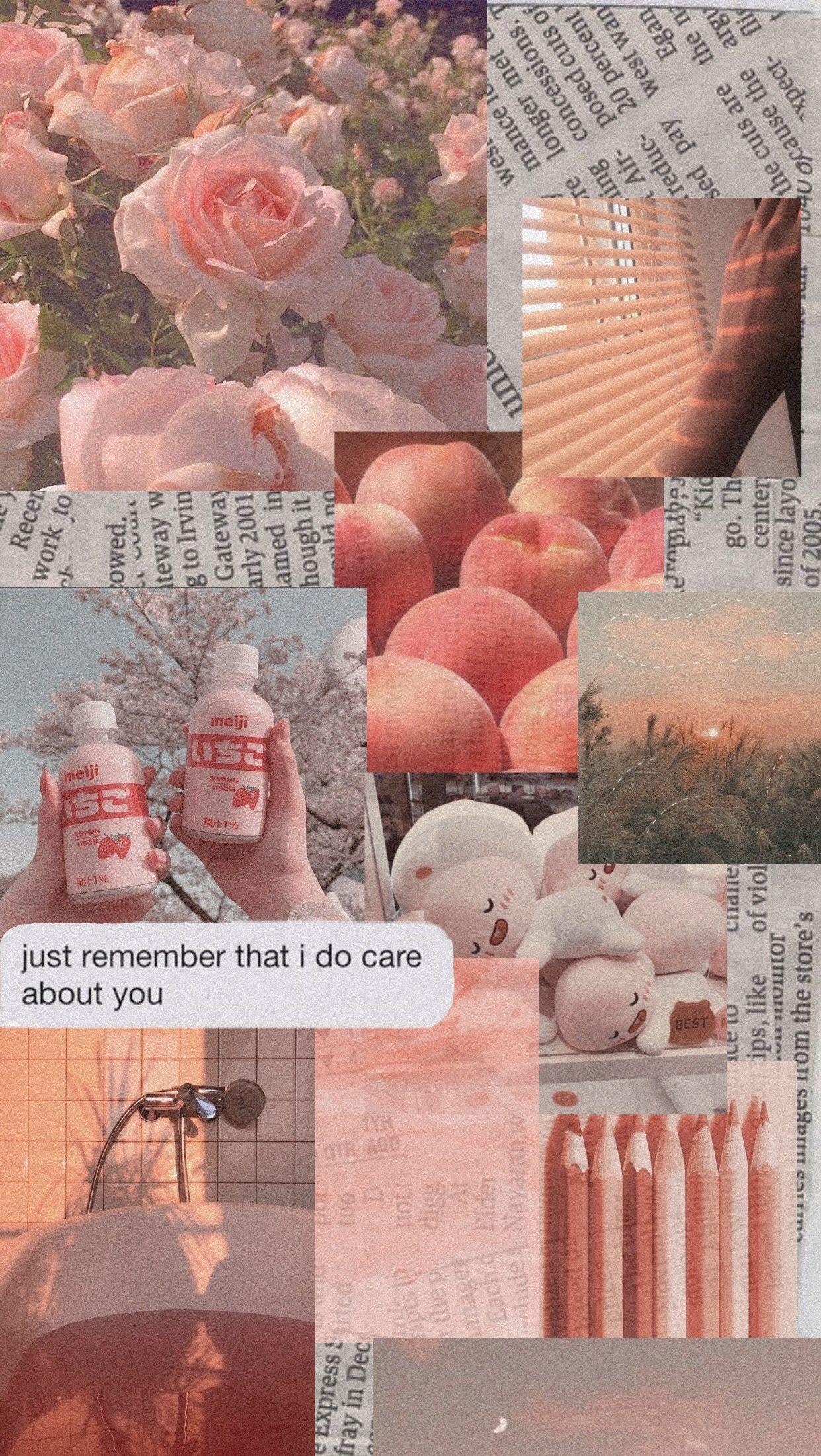 1242x2203 Peach Aesthetic iPhone Wallpaper Estetik Pink Soft