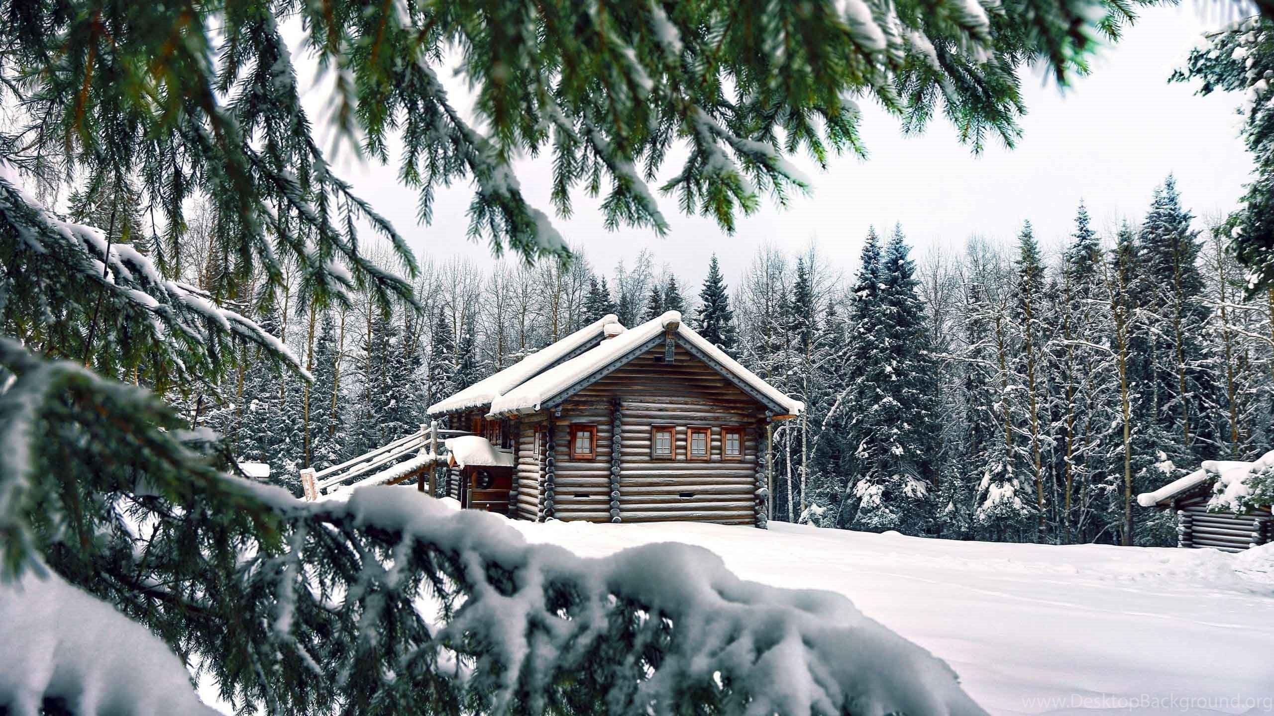 2560x1440 Top Mountain Cabin In Norway Wallpaper Desktop Background