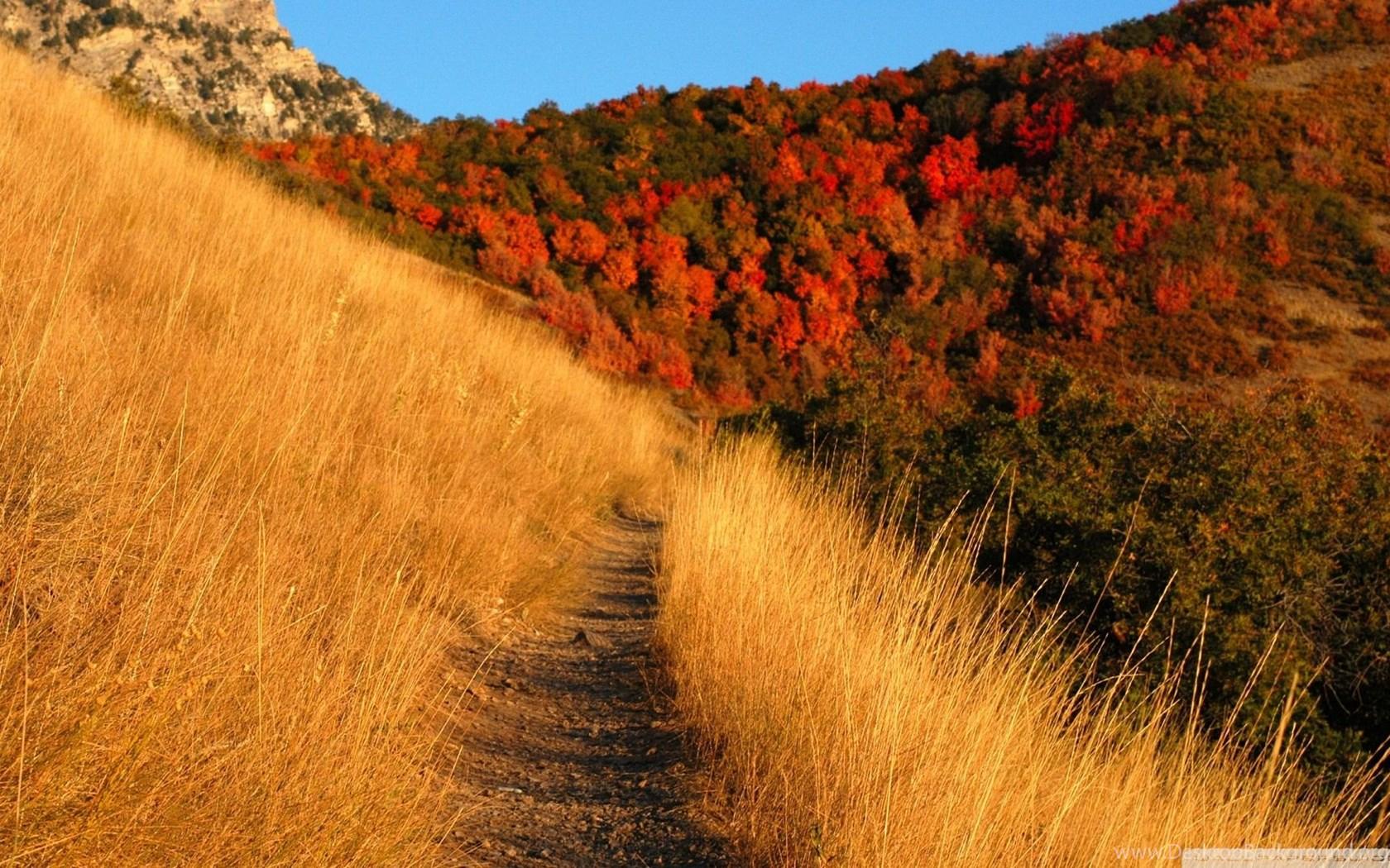 1680x1050 Download Mountain Trail Wallpaper 1920x1080 Desktop Background