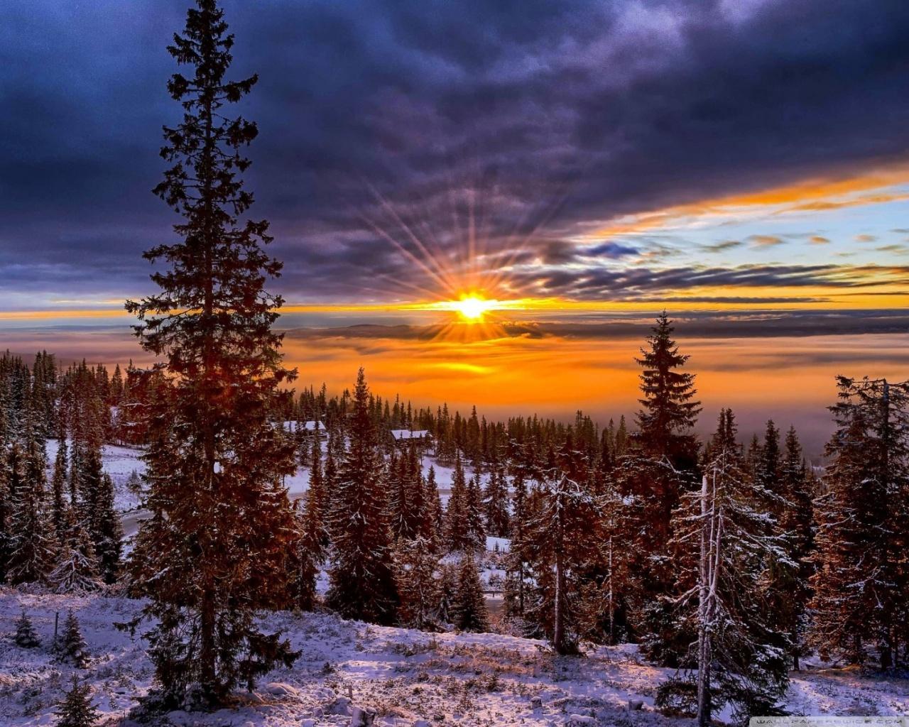 1280x1024 Norway Sunset Over Forest Ultra HD Desktop Background Wallpaper for 4K UHD TV : Tablet