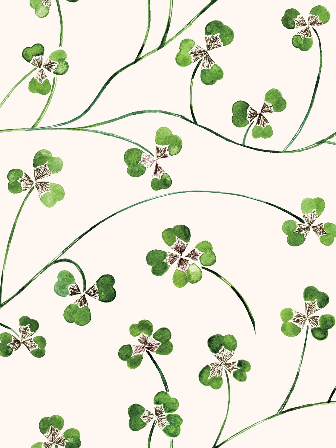 Lucky Clover Wallpapers - Top Free Lucky Clover Backgrounds