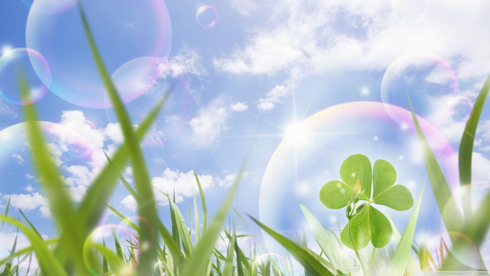 1600x900 Lucky Clover Ultra HD Desktop Background Wallpaper for 4K UHD TV : Widescreen & UltraWide Desktop & Laptop : Tablet