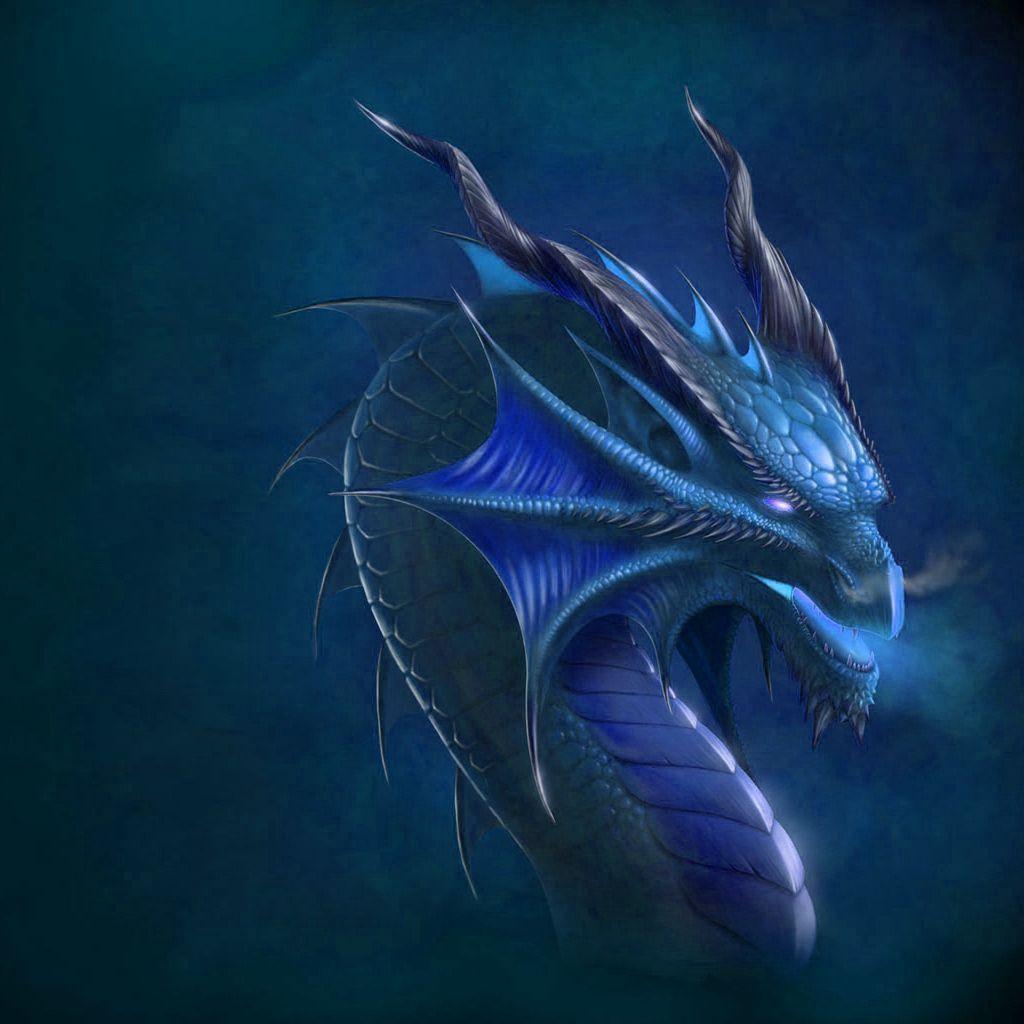 1024x1024 Latest Cute Dragon Wallpaper iPad