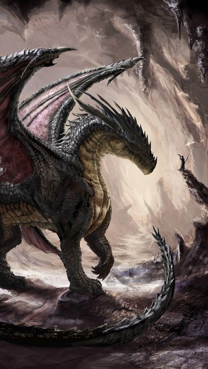 700x1244 Wallpaper the artist did some good job here. Dragon wallpaper iphone, Fantasy dragon, Art