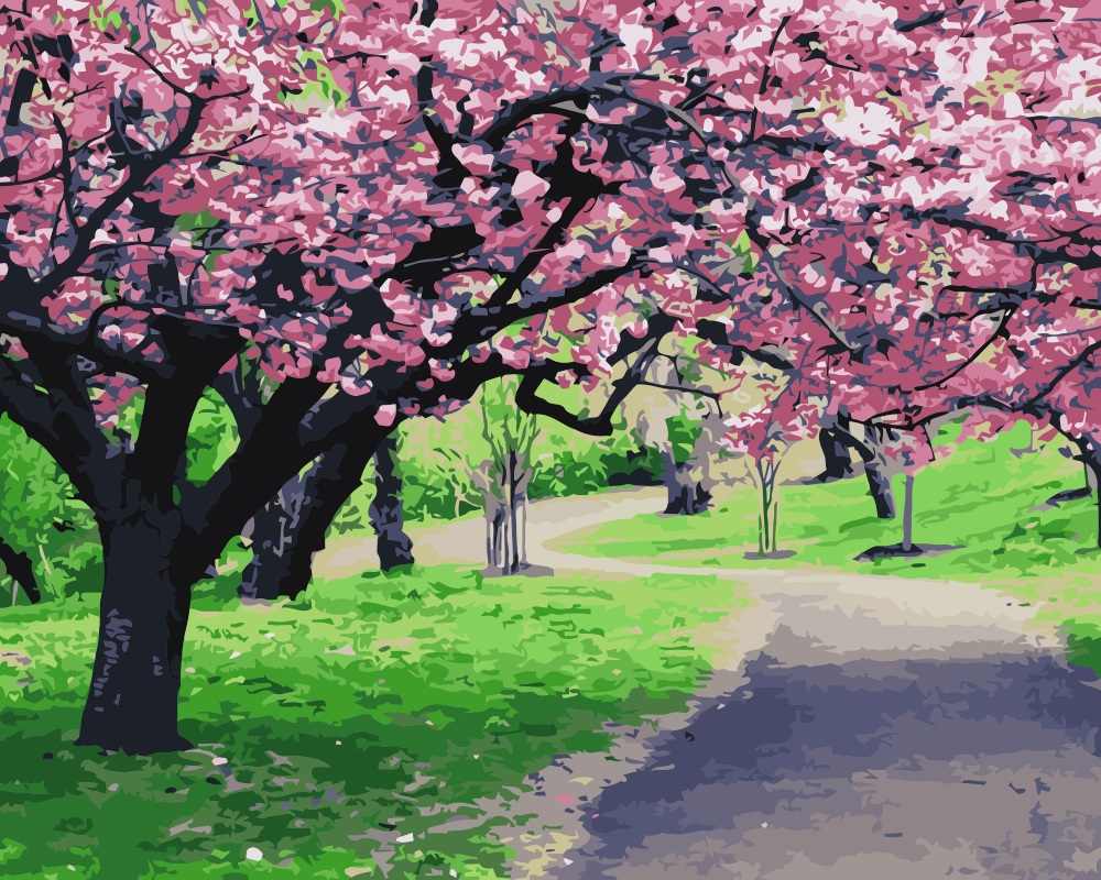 1000x800 Cherry Blossom Landscape