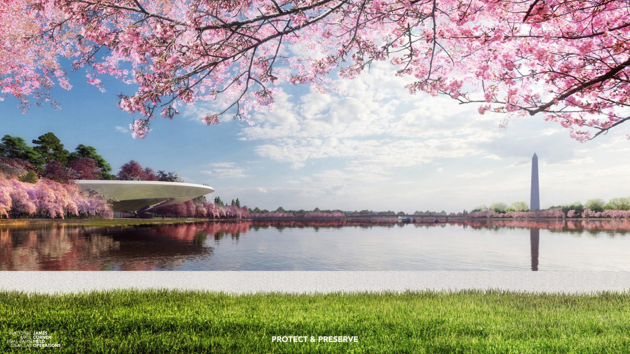2048x1152 The Cherry Blossoms Are Drowning. How Can We Save Them?. Washingtonian (DC)