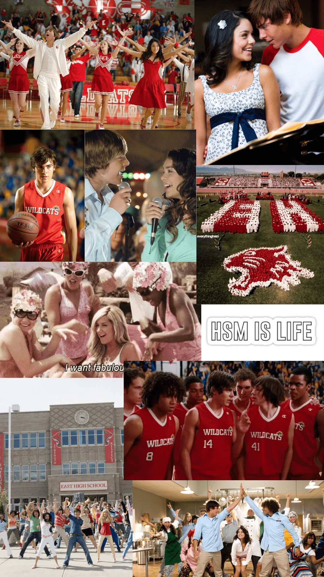 1080x1920 HIGH SCHOOL MUSICAL WALLPAPER. High school musical, High school musical costumes, High school musical wallpaper