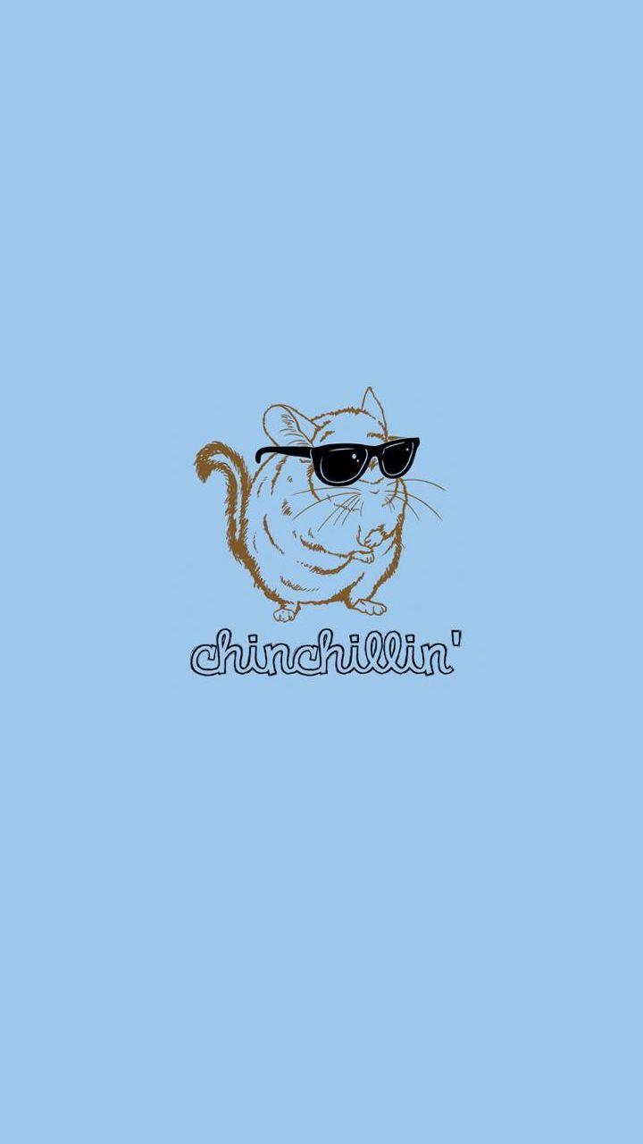 720x1280 phone wallapers dump (all credit goes to ). Funny phone wallpaper, Funny background, Phone wallpaper tumblr