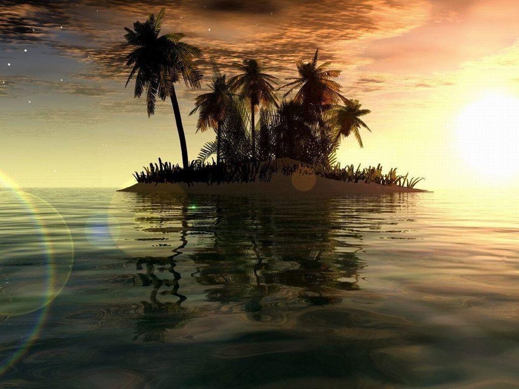 1024x768 Windmill Beautiful Sun Sunset Nature Set West Dog Beach Wallpaper