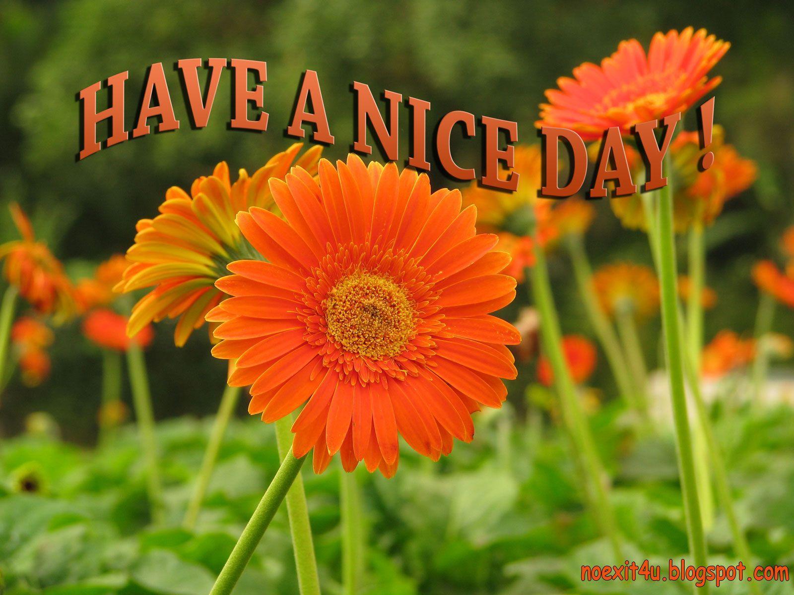 1600x1200 Have A Nice Day Wallpaper