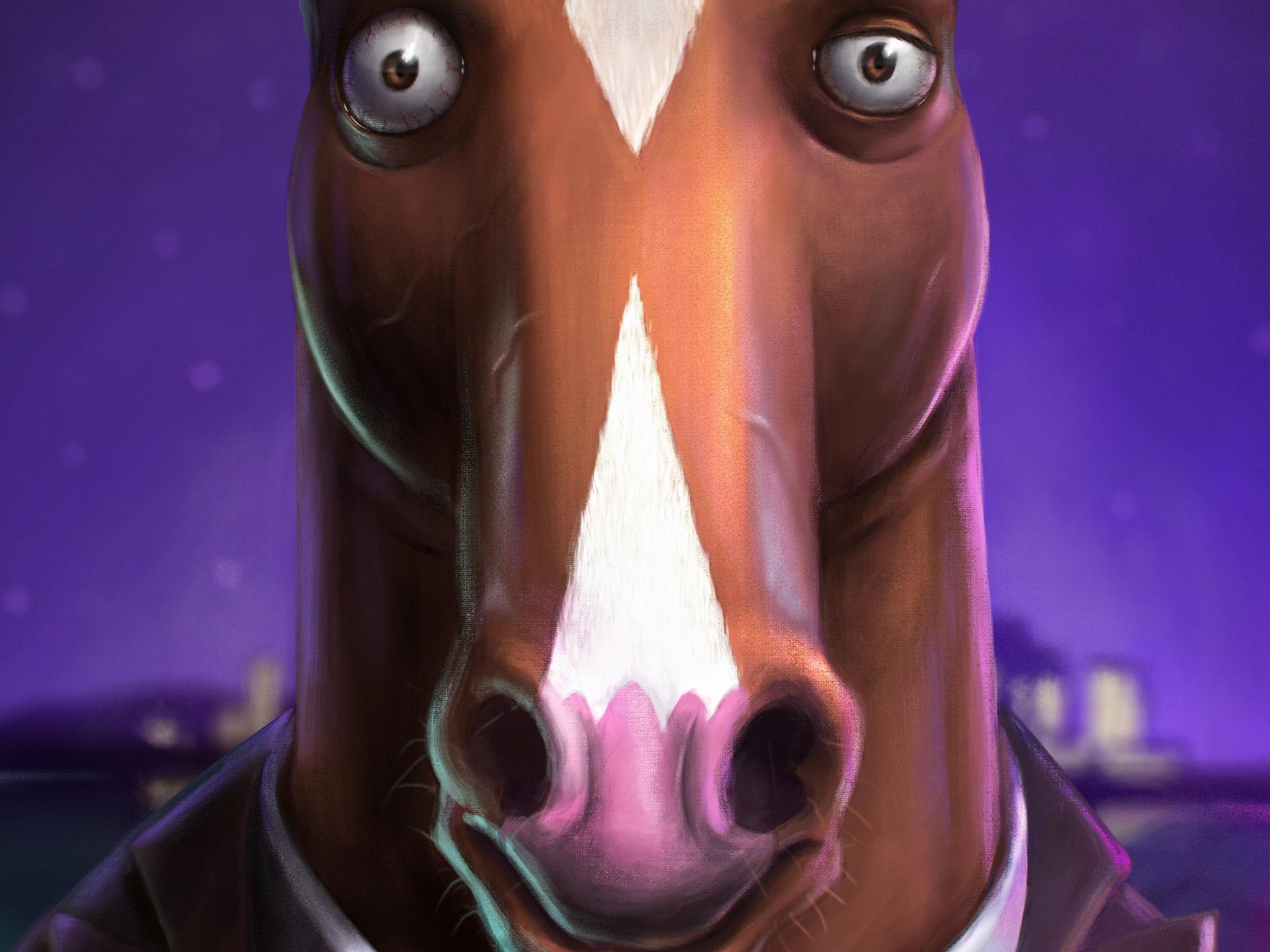 2048x1536 Wallpaper 4k Bojack Horseman Tv Series
