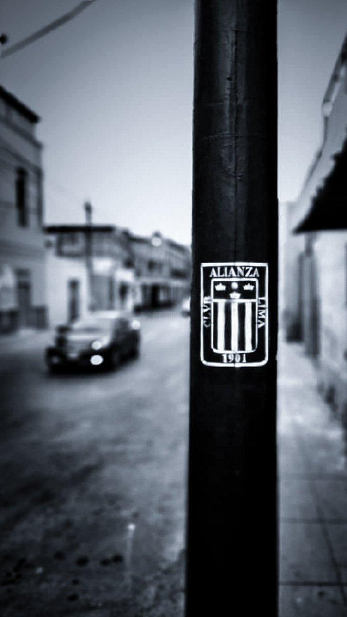 675x1200 ᴬⁿᵈʸ ᴮʳʸᵃⁿ ⱽⁱˡˡᵃ tal esta causa, Arriba Alianza!