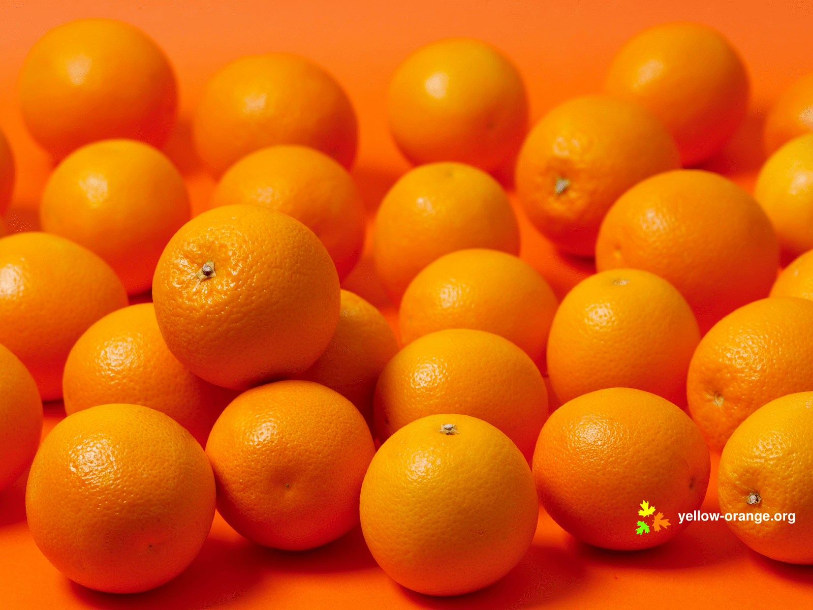 1600x1200 oranges Wallpaper HD / Desktop and Mobile Background