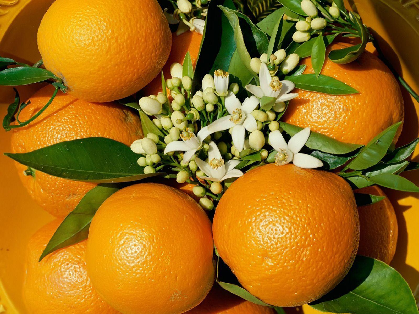 1600x1200 Oranges Wallpaper