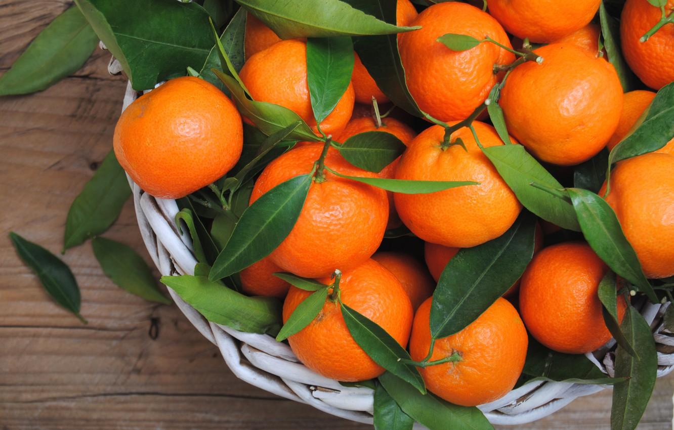 1332x850 Wallpaper oranges, fruit, leaves, fruits, oranges image for desktop, section еда