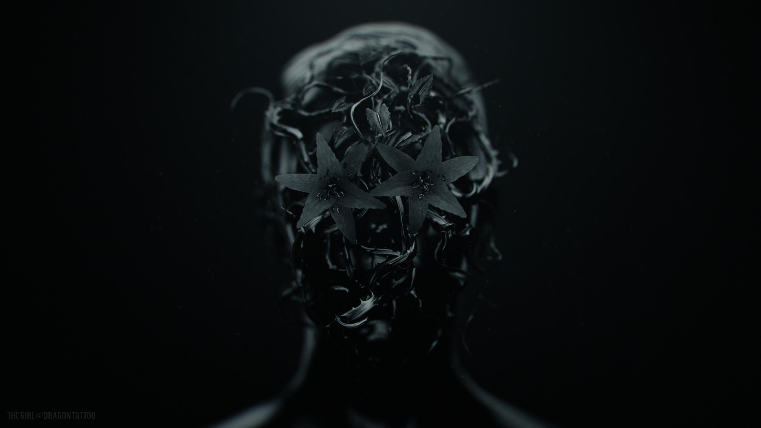 2560x1440 The Girl With The Dragon Tattoo HD Wallpaper and Background Image