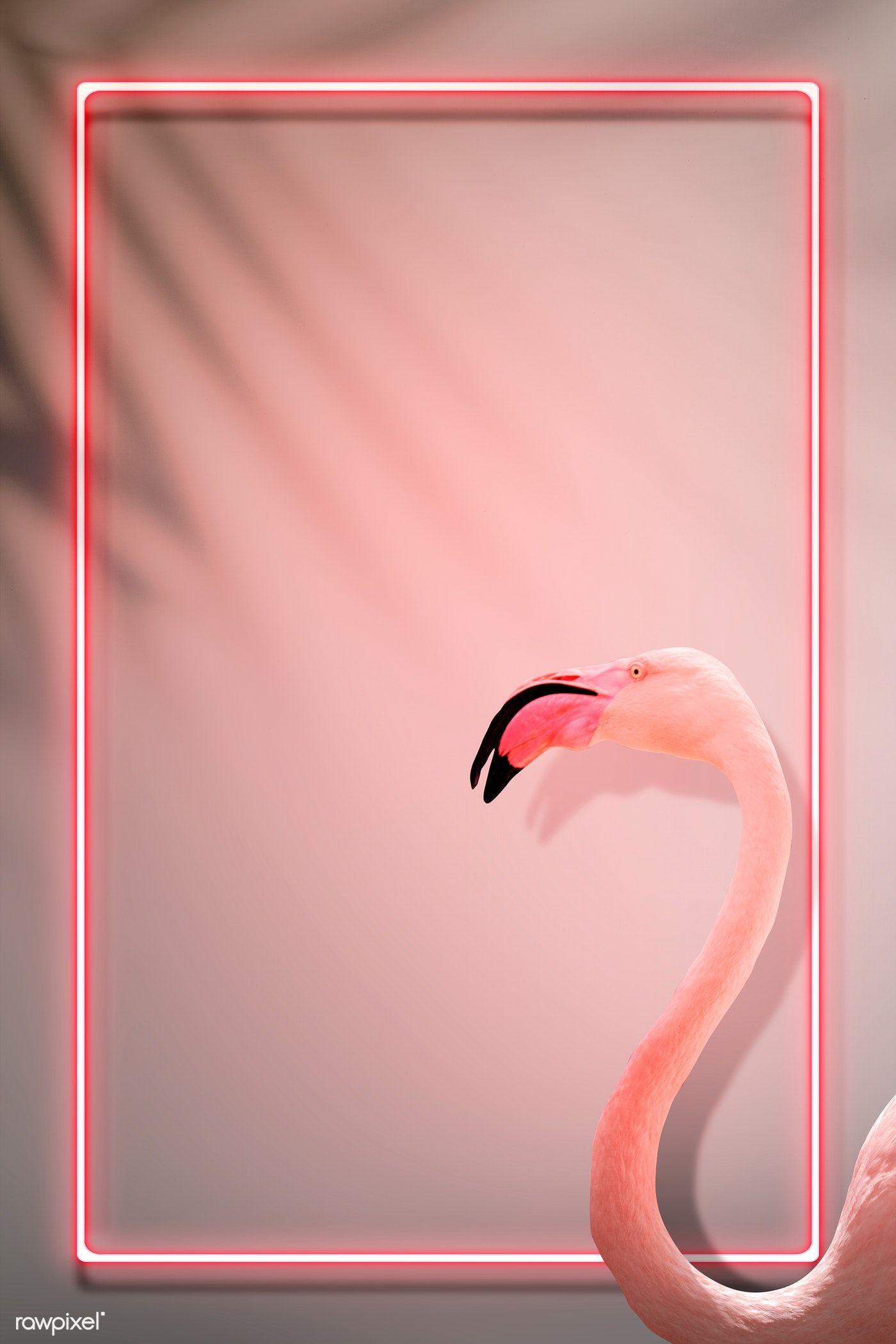 1400x2100 Download premium illustration of Pink flamingo decorated neon lights frame. Neon frame, Neon wallpaper, Pink flamingo wallpaper
