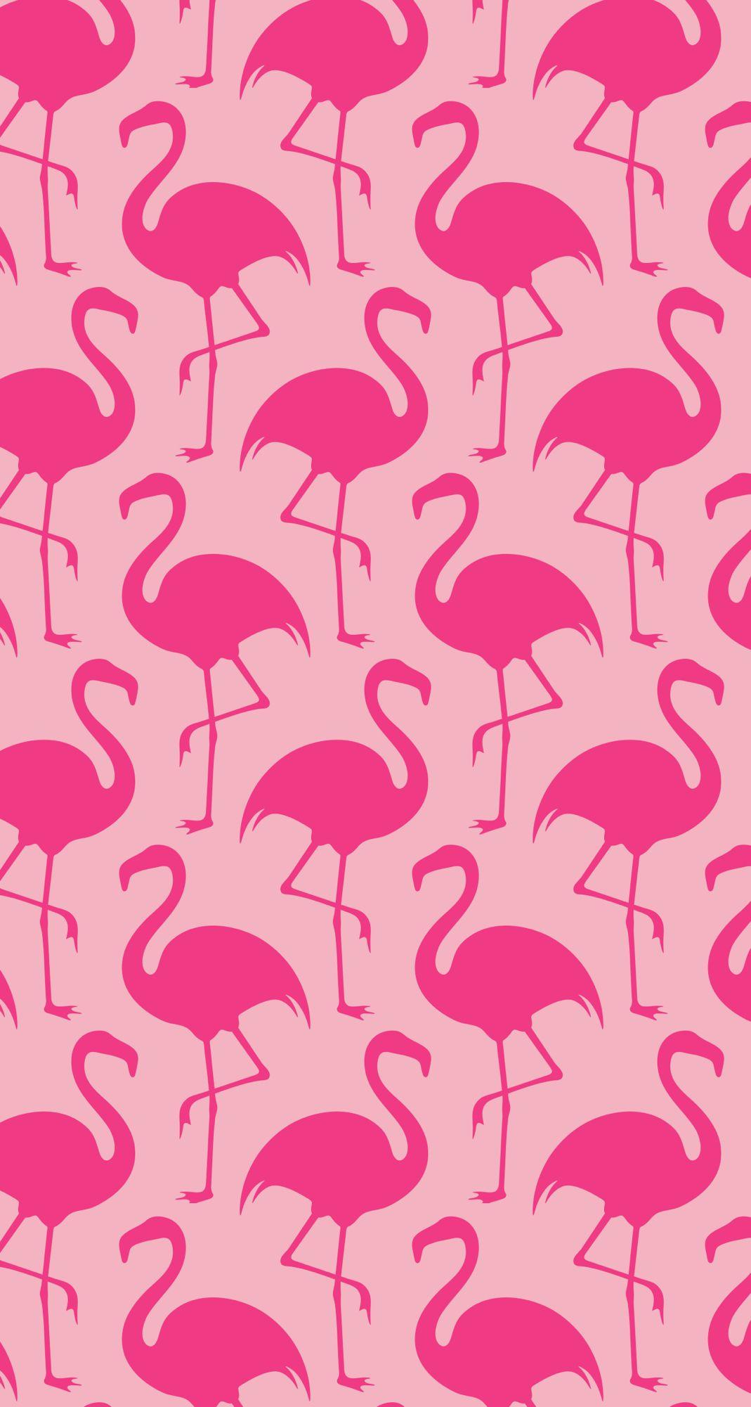1069x2001 Hot Pink Flamingo Wallpaper