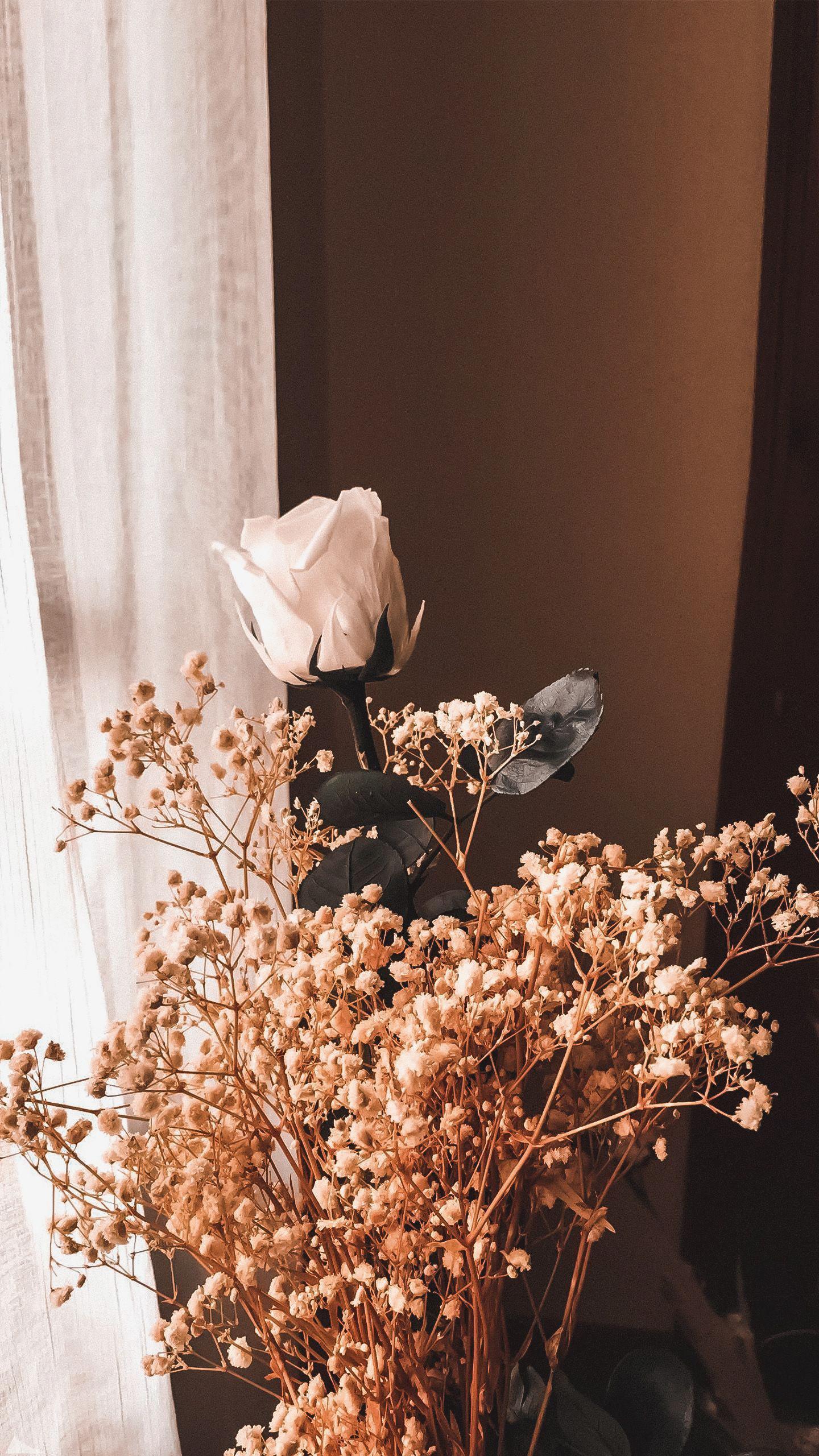 1440x2560 Light Brown Wallpaper (best Light Brown Wallpaper and image) on WallpaperChat