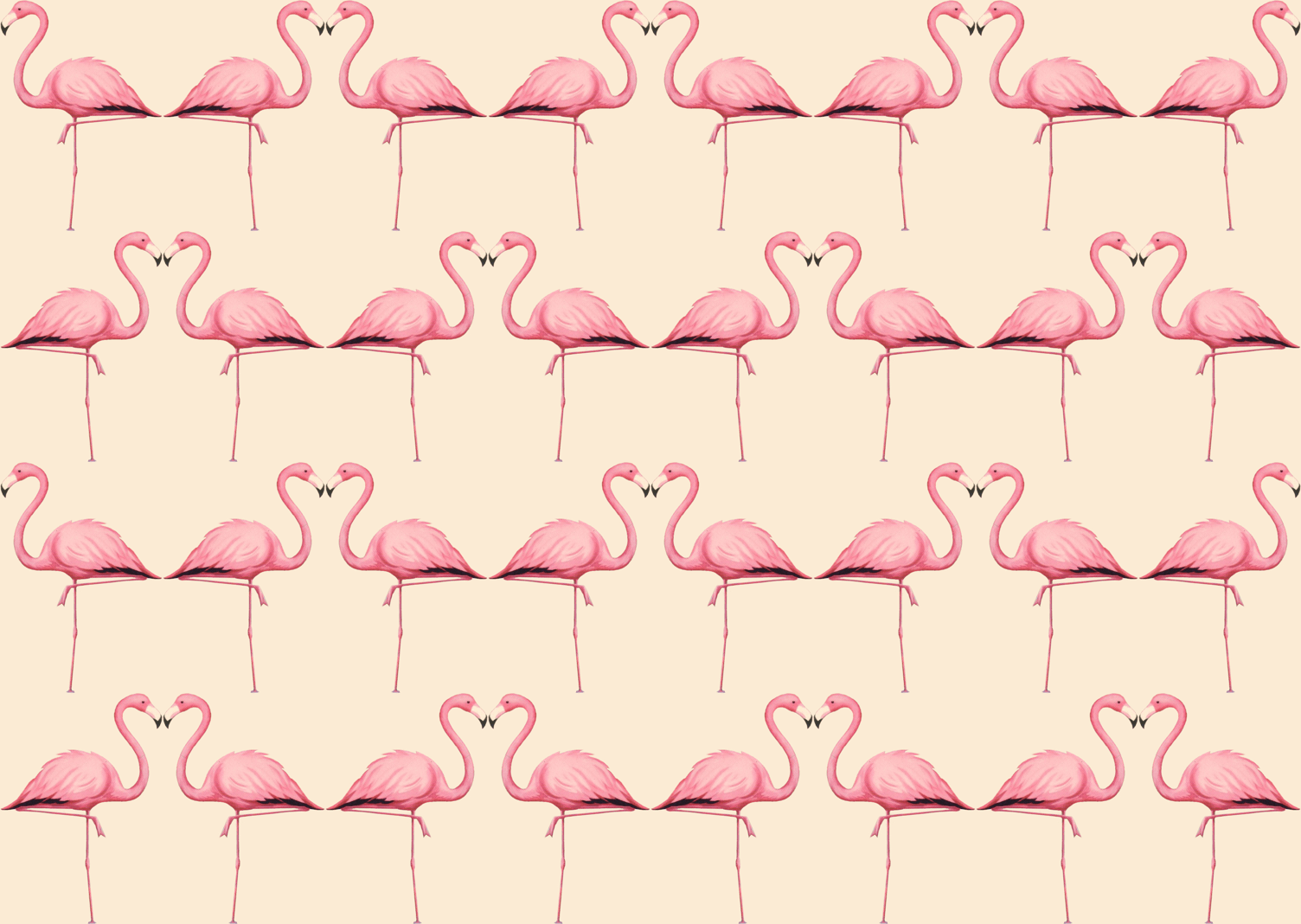 1504x1068 Flamingo Wallpaper Border