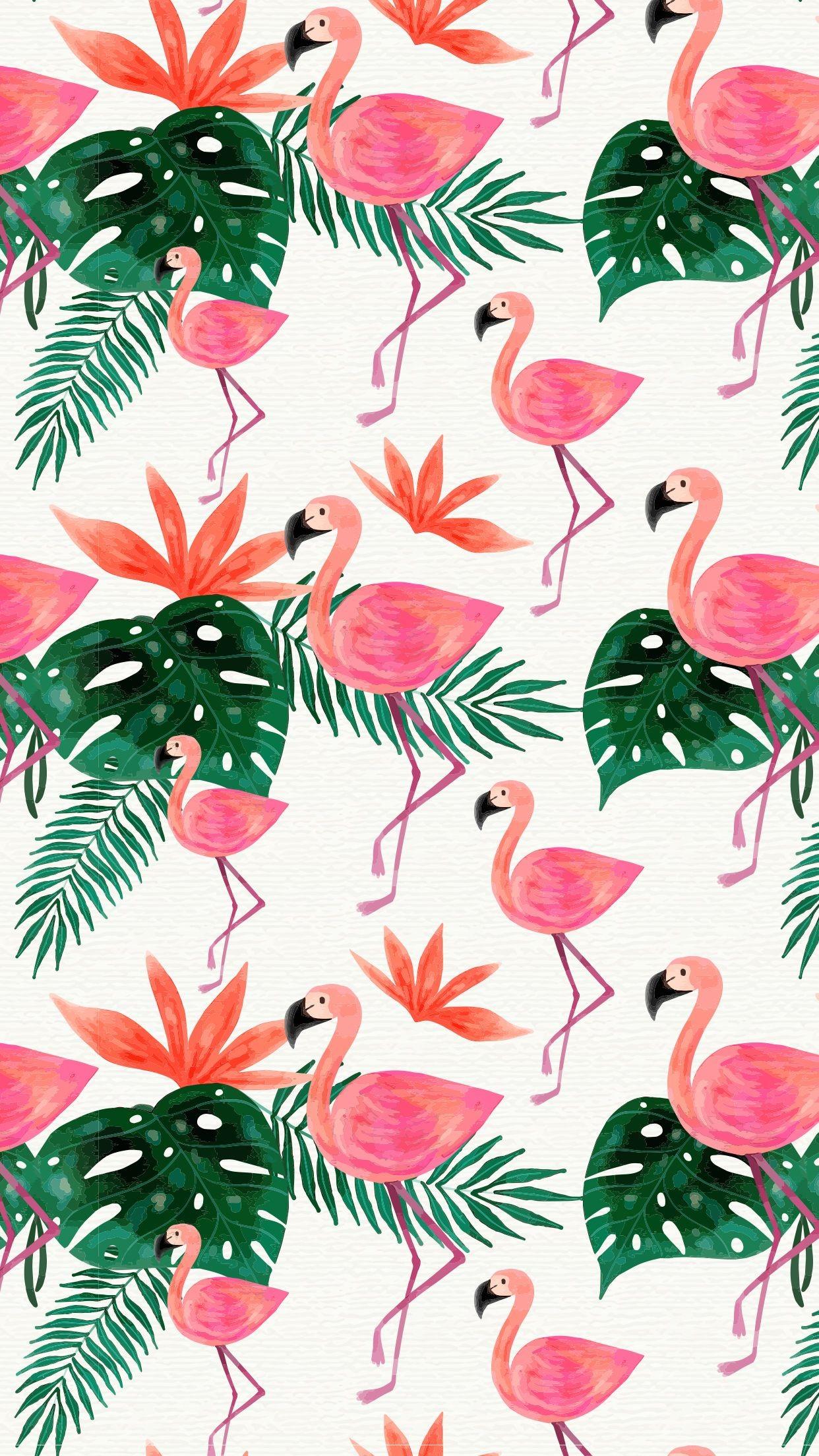 1242x2208 Flamingo Wallpaper (best Flamingo Wallpaper and image) on WallpaperChat