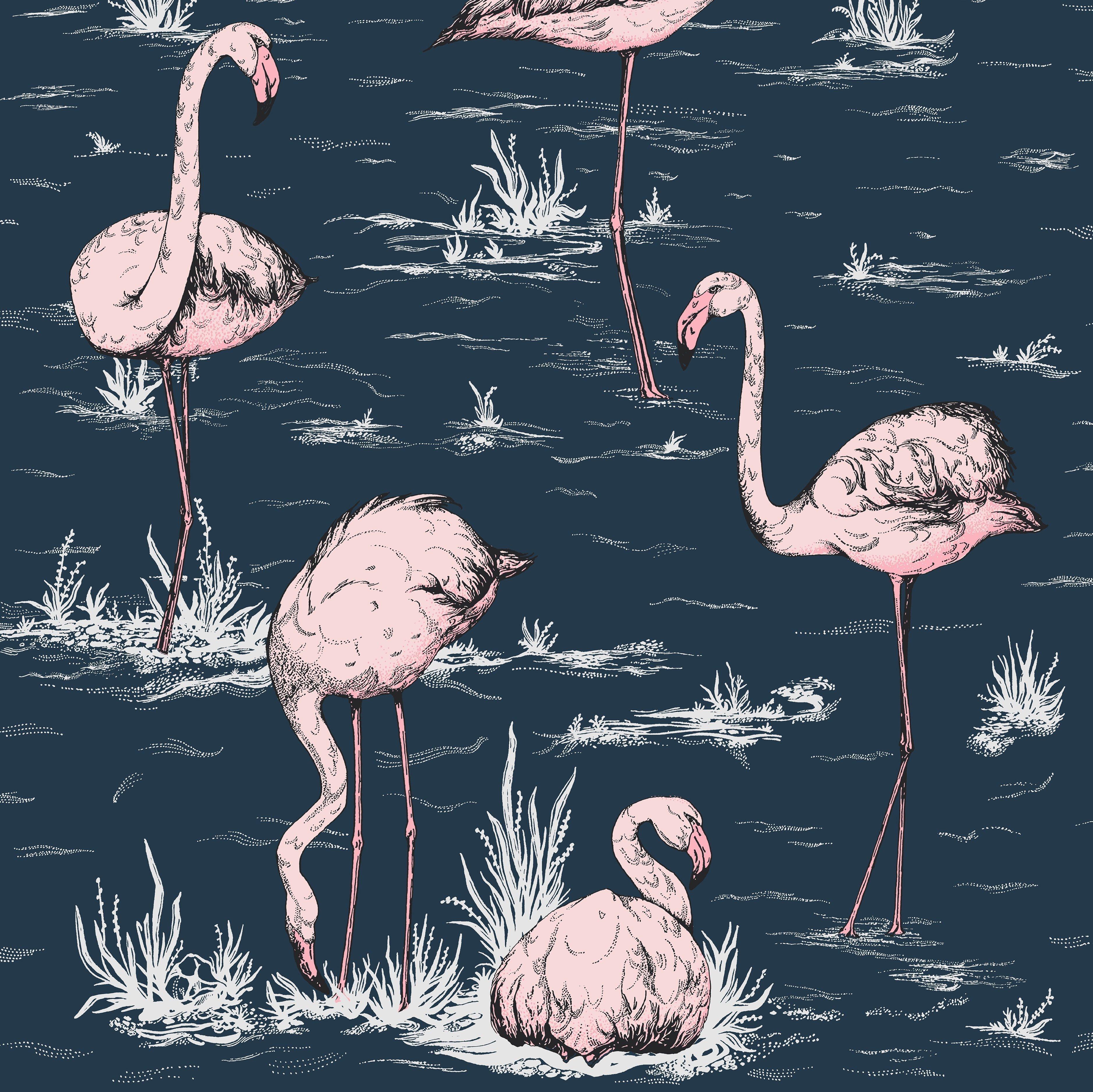 3756x3753 Luxury Blue Wallpaper Tagged flamingo wallpaper