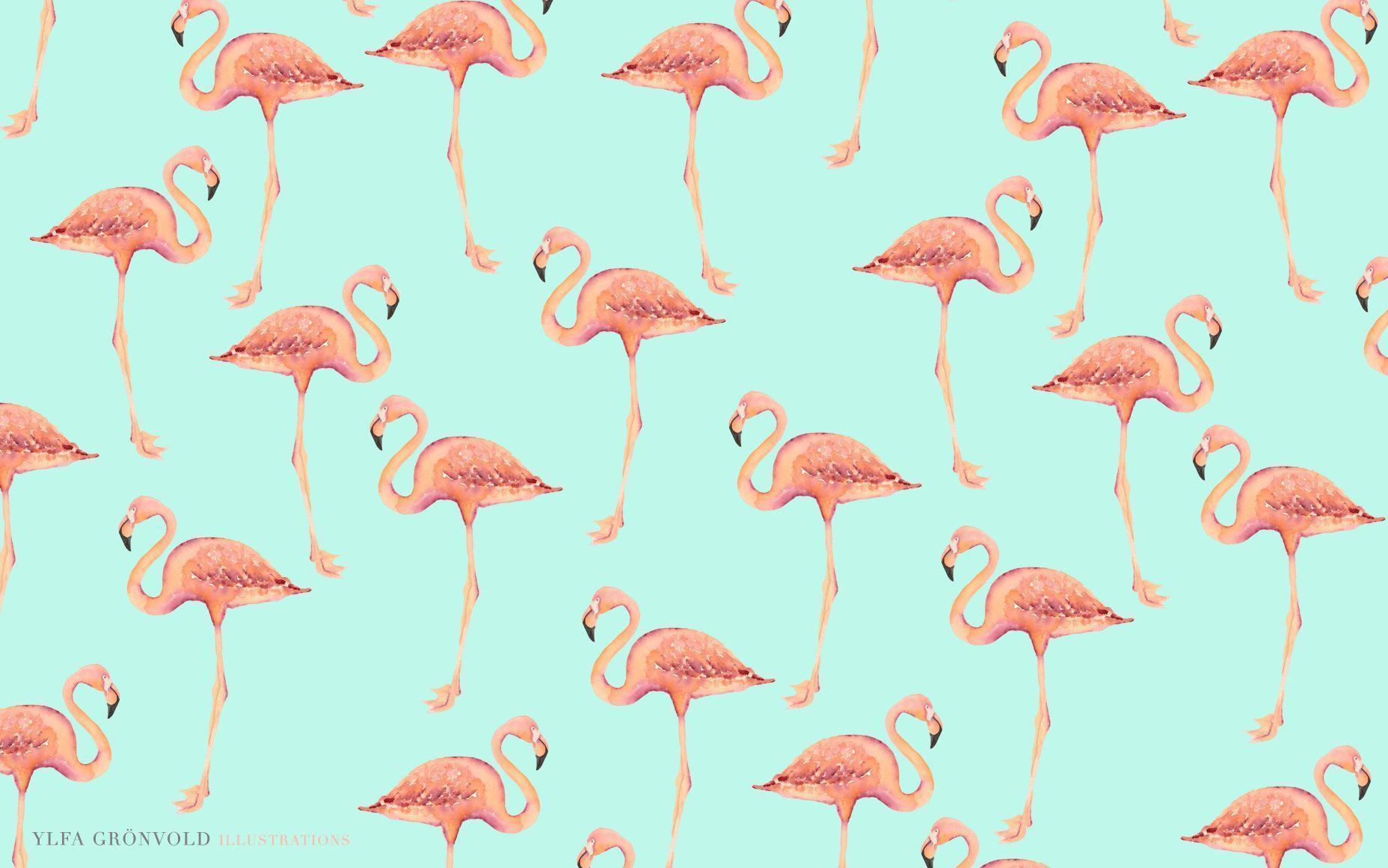 1856x1161 Pastel Cute Flamingo Wallpaper