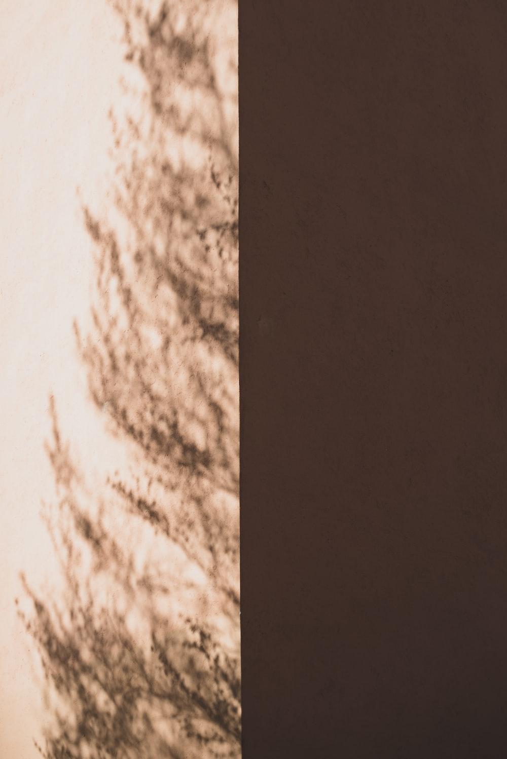 1000x1498 Half and Half, Split Color. best free half, color, background and wallpaper photo