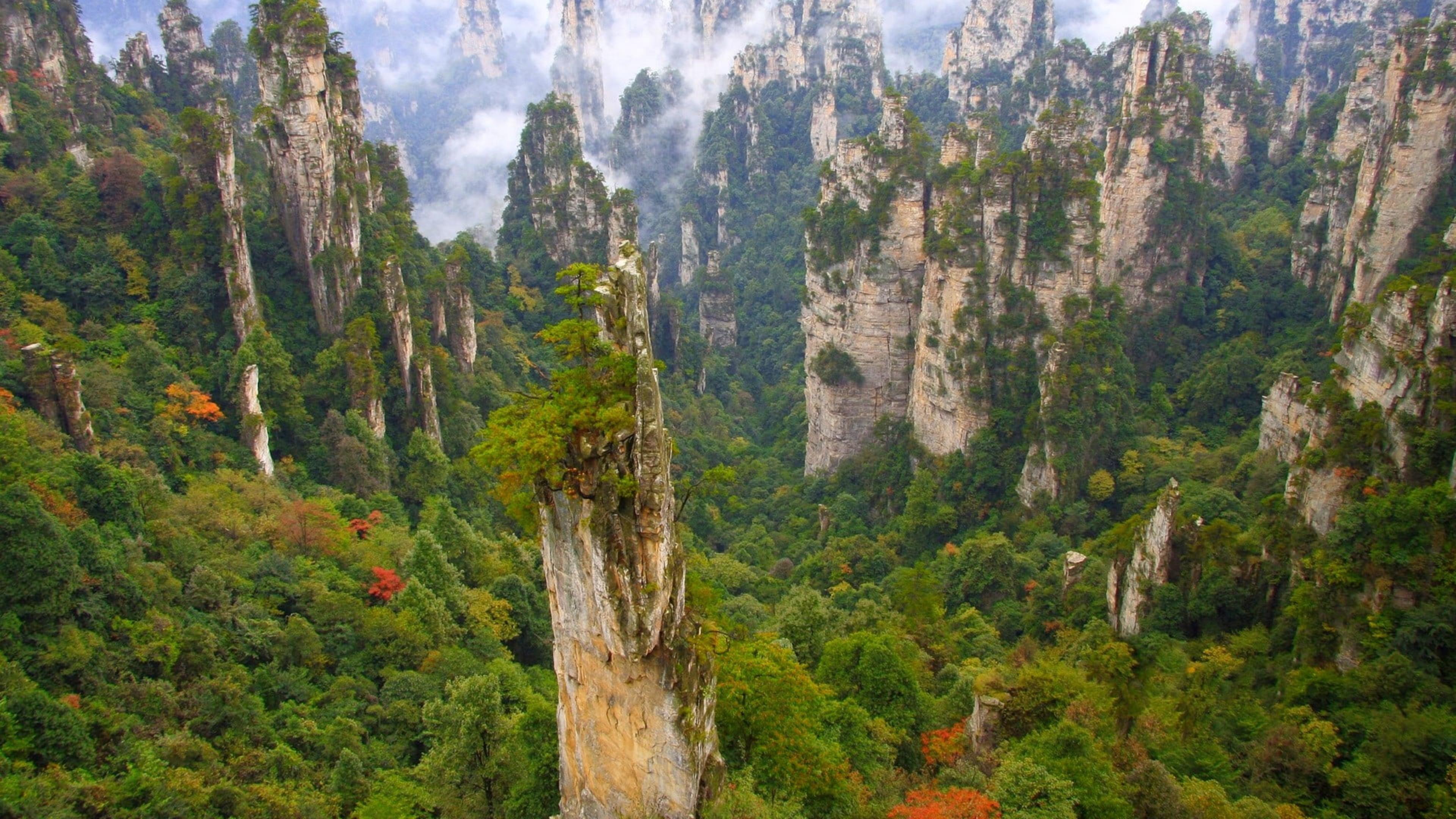 3840x2160 Wallpaper Wulingyuan Scenic Area, Tianmen Mountain, Mount Rainier National Park, National Park, Park, Background Free Image