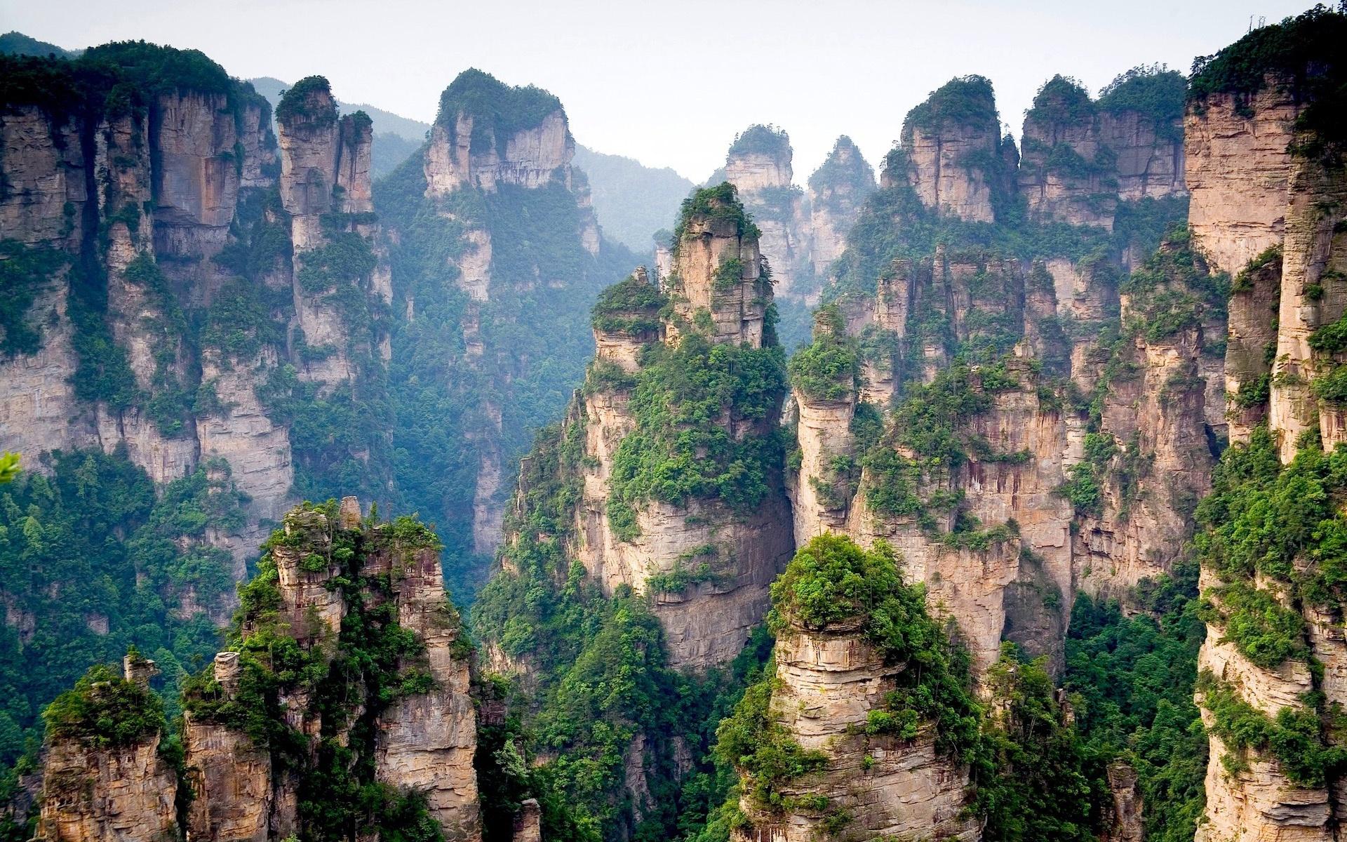 1920x1200 Wallpaper Chinese mountain cliff top forest trees 1920x1200 HD Picture, Image