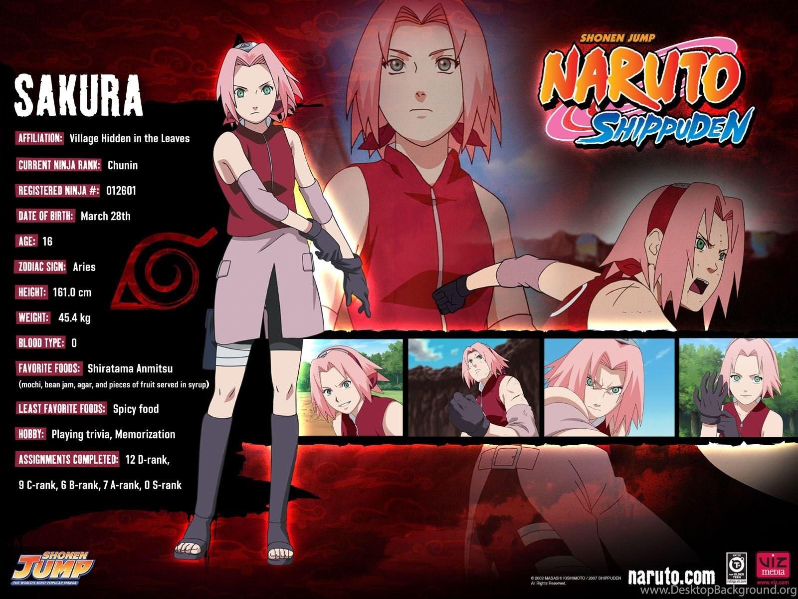 1600x1200 Naruto Shippuden Characters Sakura 1600x1200 Wallpaper Desktop Background