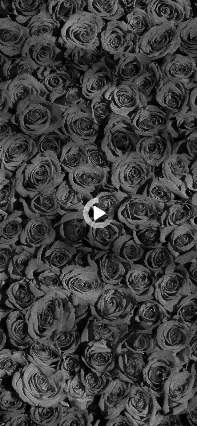 Black Pattern iPhone Wallpapers Top Free Black Pattern iPhone