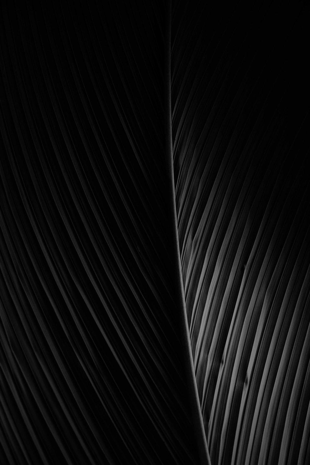 1000x1500 Pattern Background Image: Download HD Background