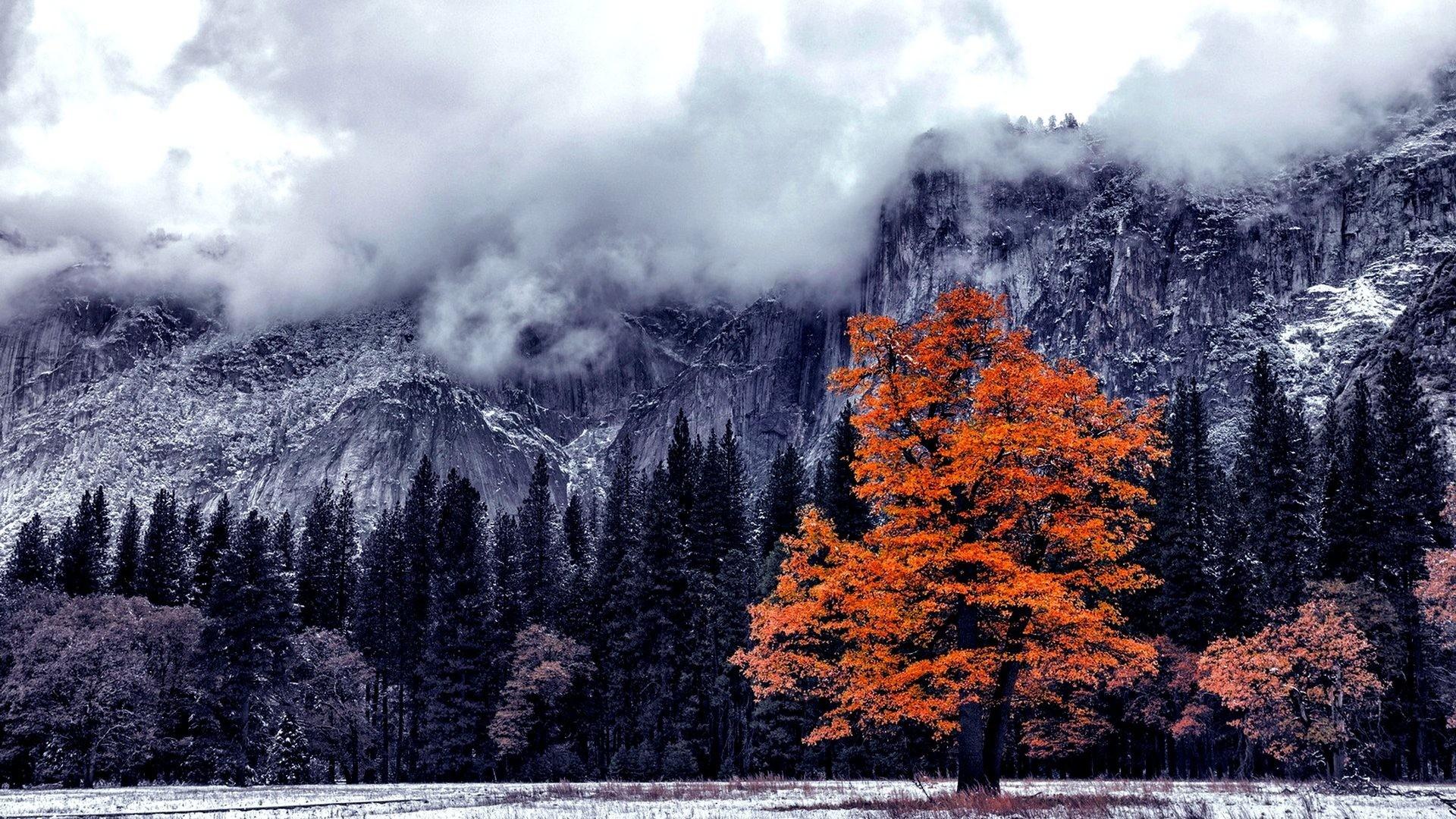 1920x1080 15++ Autumn Winter HD Wallpaper