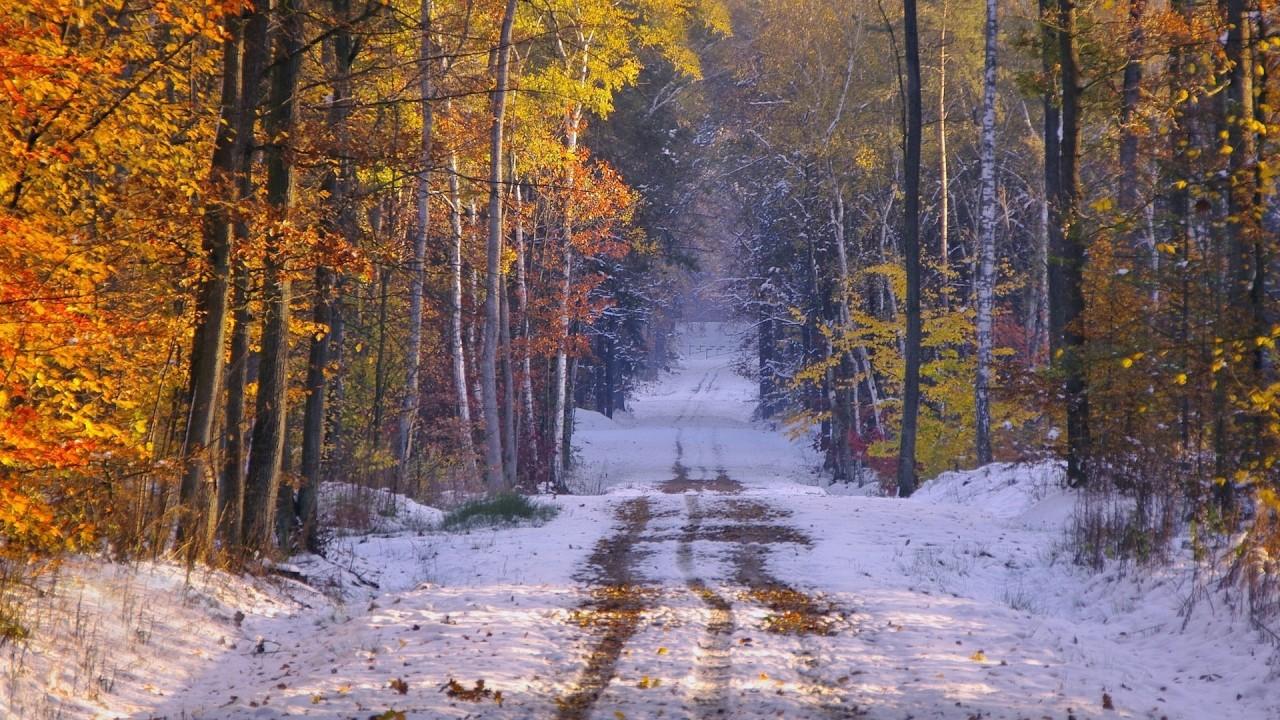 1280x720 Snowy Autumn Wallpaper