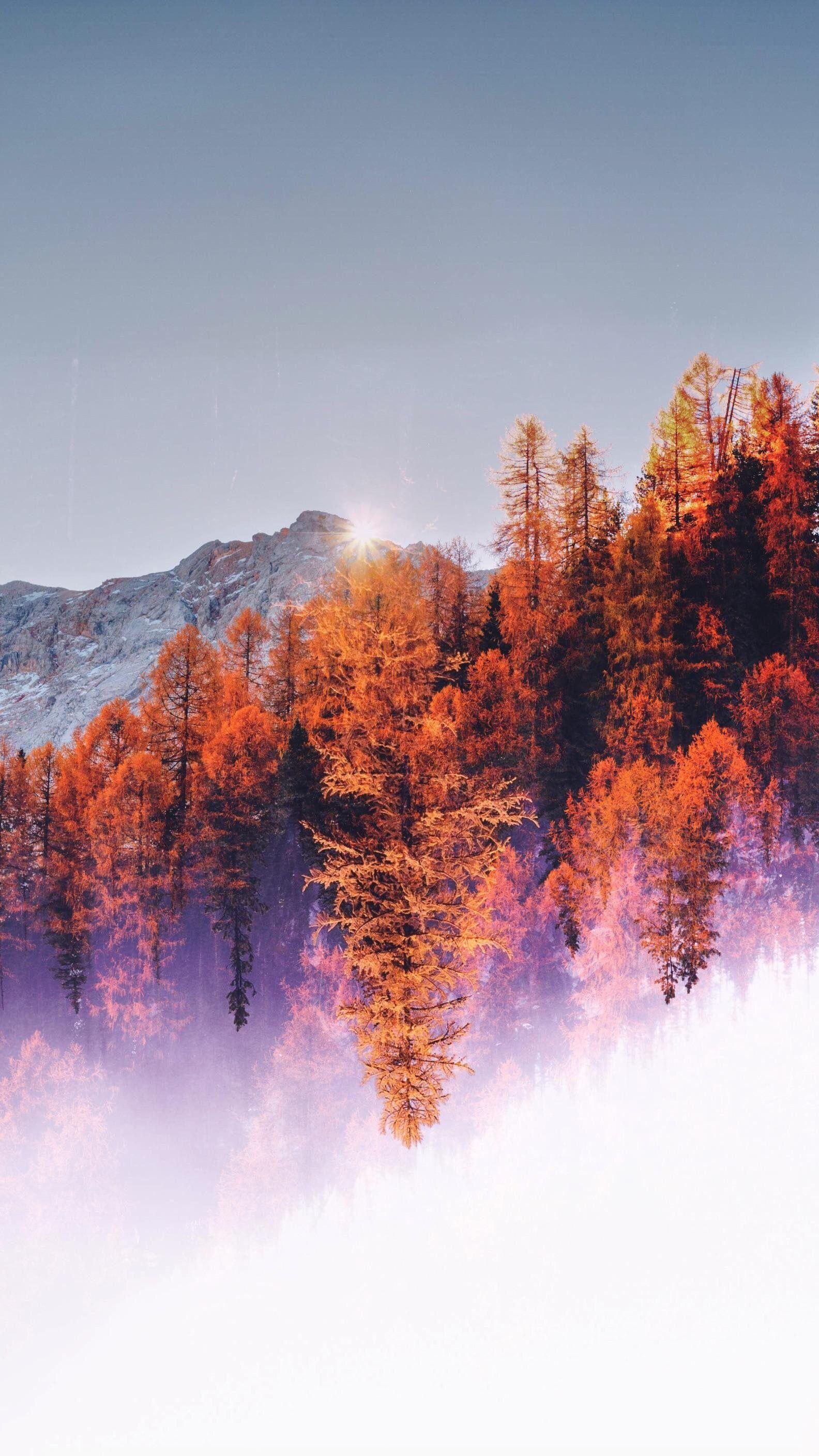 1584x2816 Winter. Autumn photography, Landscape photography nature, Fall wallpaper