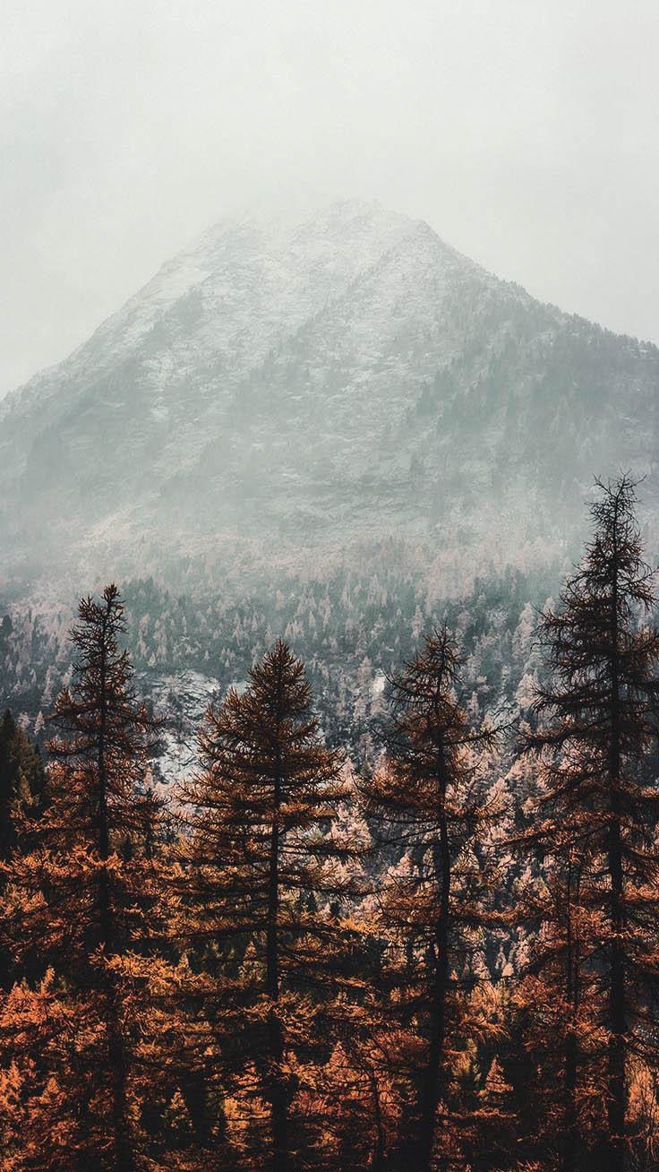 736x1308 Aesthetic Winter Wallpaper For iPhone