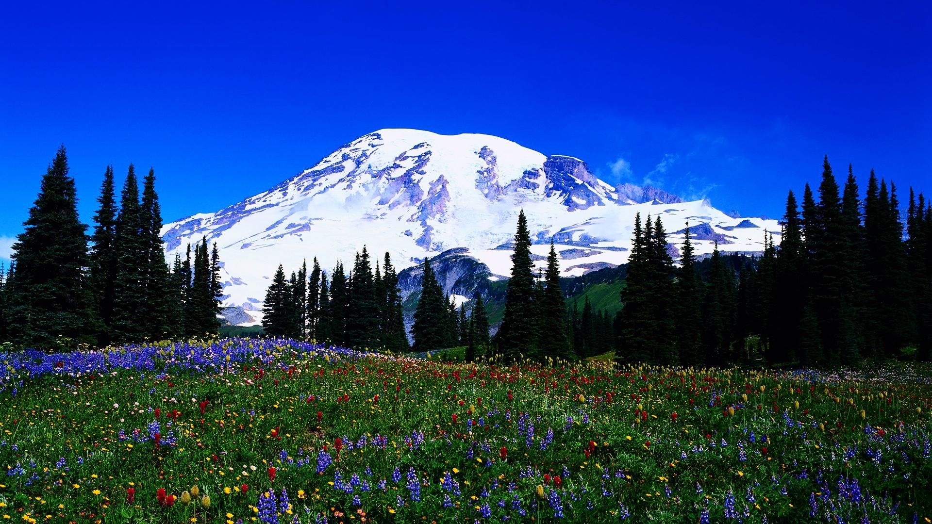 1920x1080 Free Late Winter Desktop Wallpaper