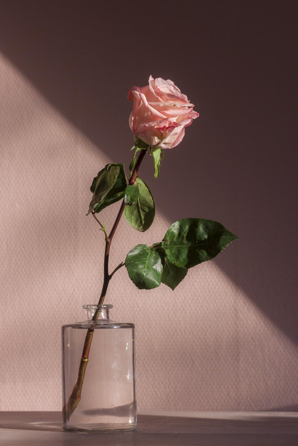 1000x1497 Aesthetic Picture [HD]. Download Free Image