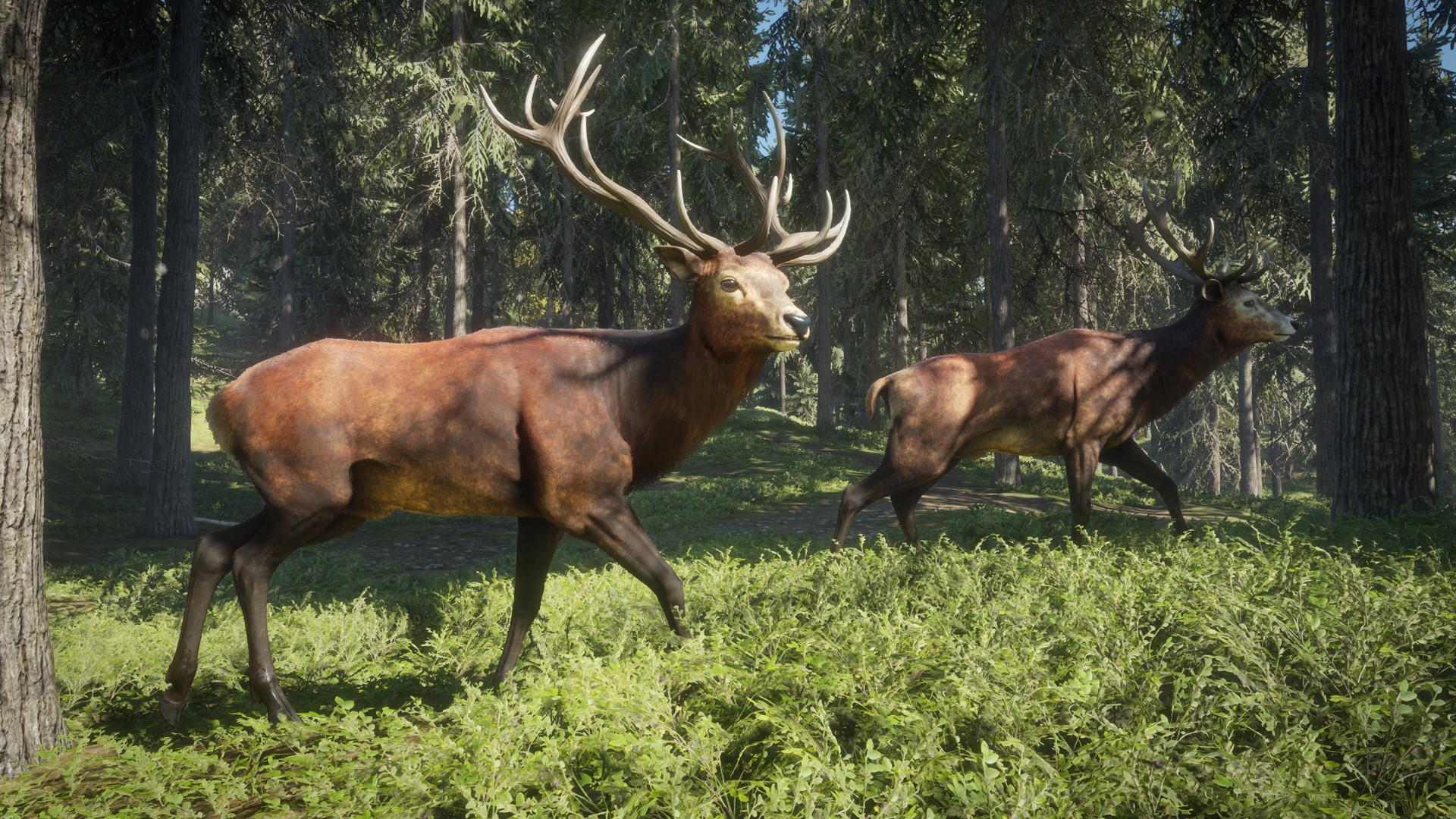 1920x1080 TheHunter: Call of the Wild Interview