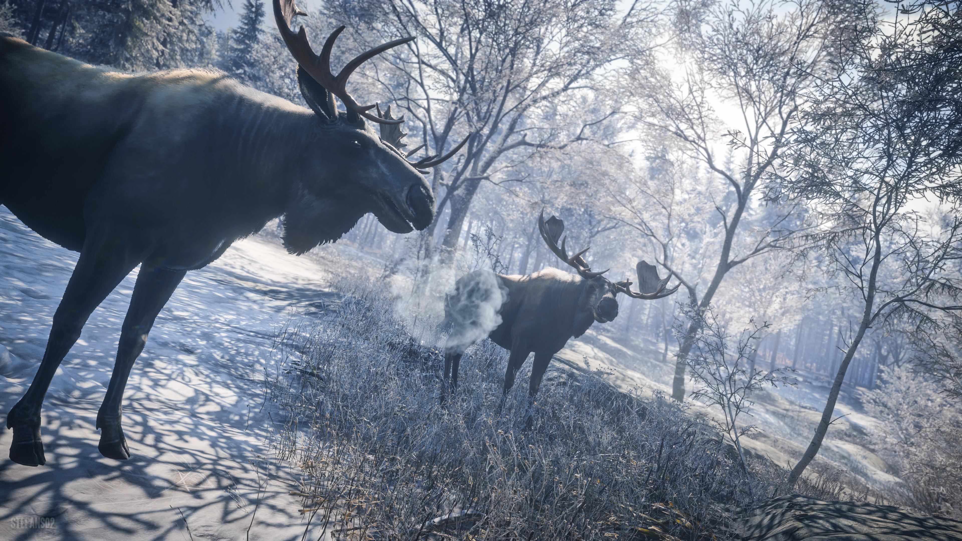 3840x2160 TheHunter: Call of the Wild / Welcome to the Moose Meeting 4k Ultra HD Wallpaper