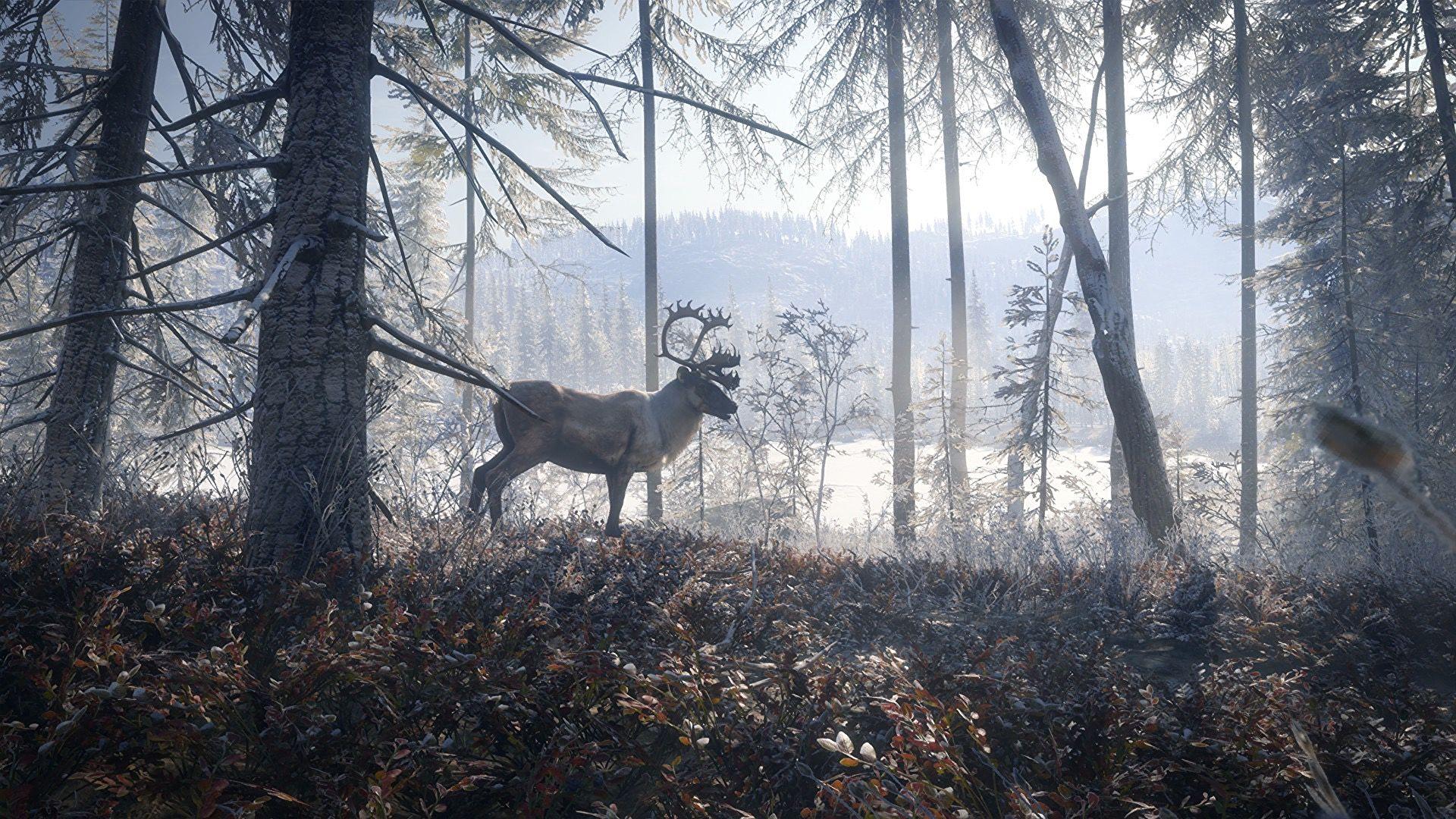 1920x1080 How theHunter: Call of the Wild simulates wild animals. Rock Paper Shotgun