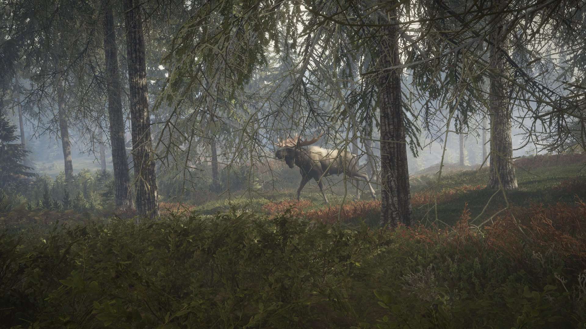 1920x1080 theHunter: Call of the Wild's Open World Coming to Xbox One in 2017