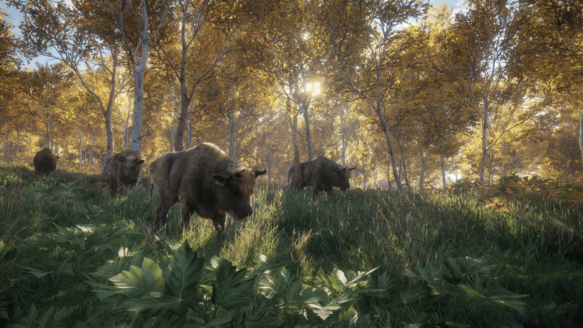 1920x1080 theHunter: Call of the Wild