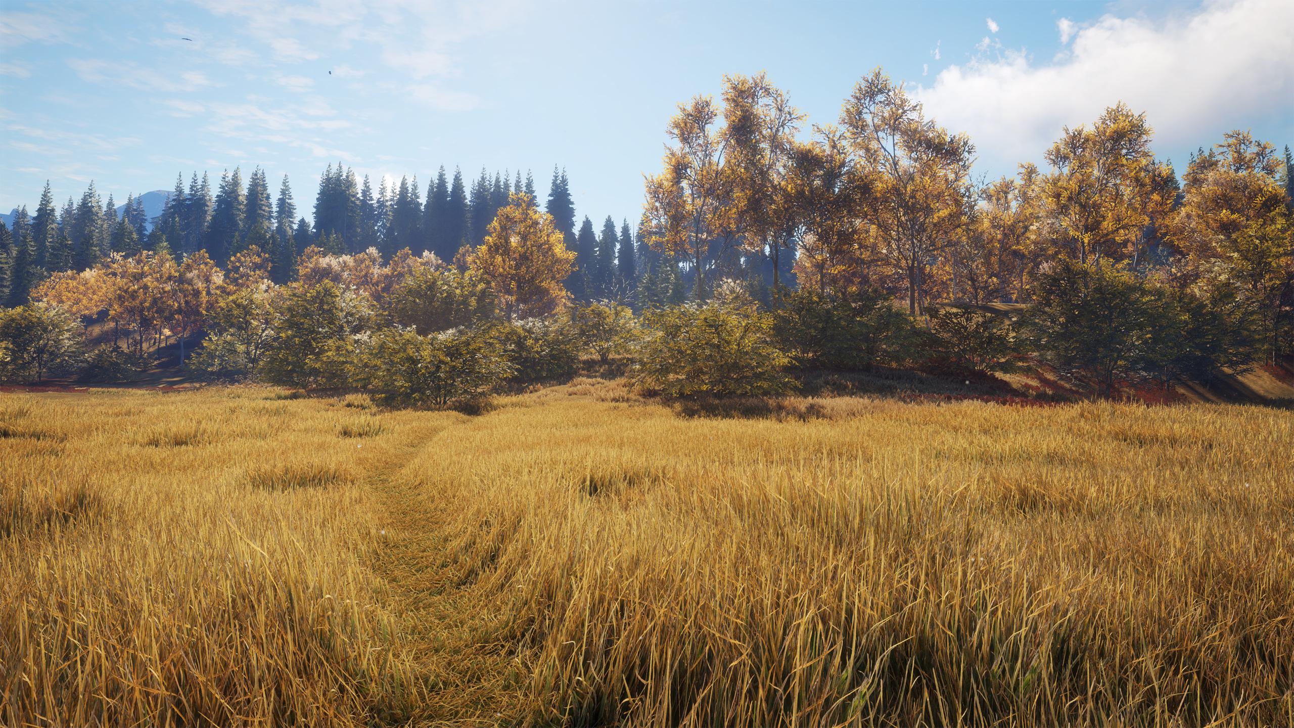 2560x1440 3840x2160 thehunter call wild HD desktop wallpaper