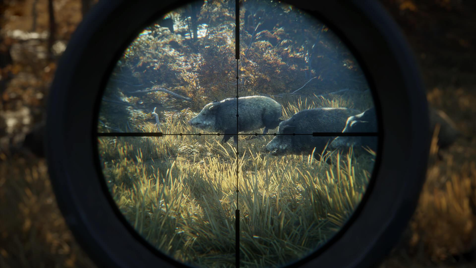 1920x1080 Access Denied