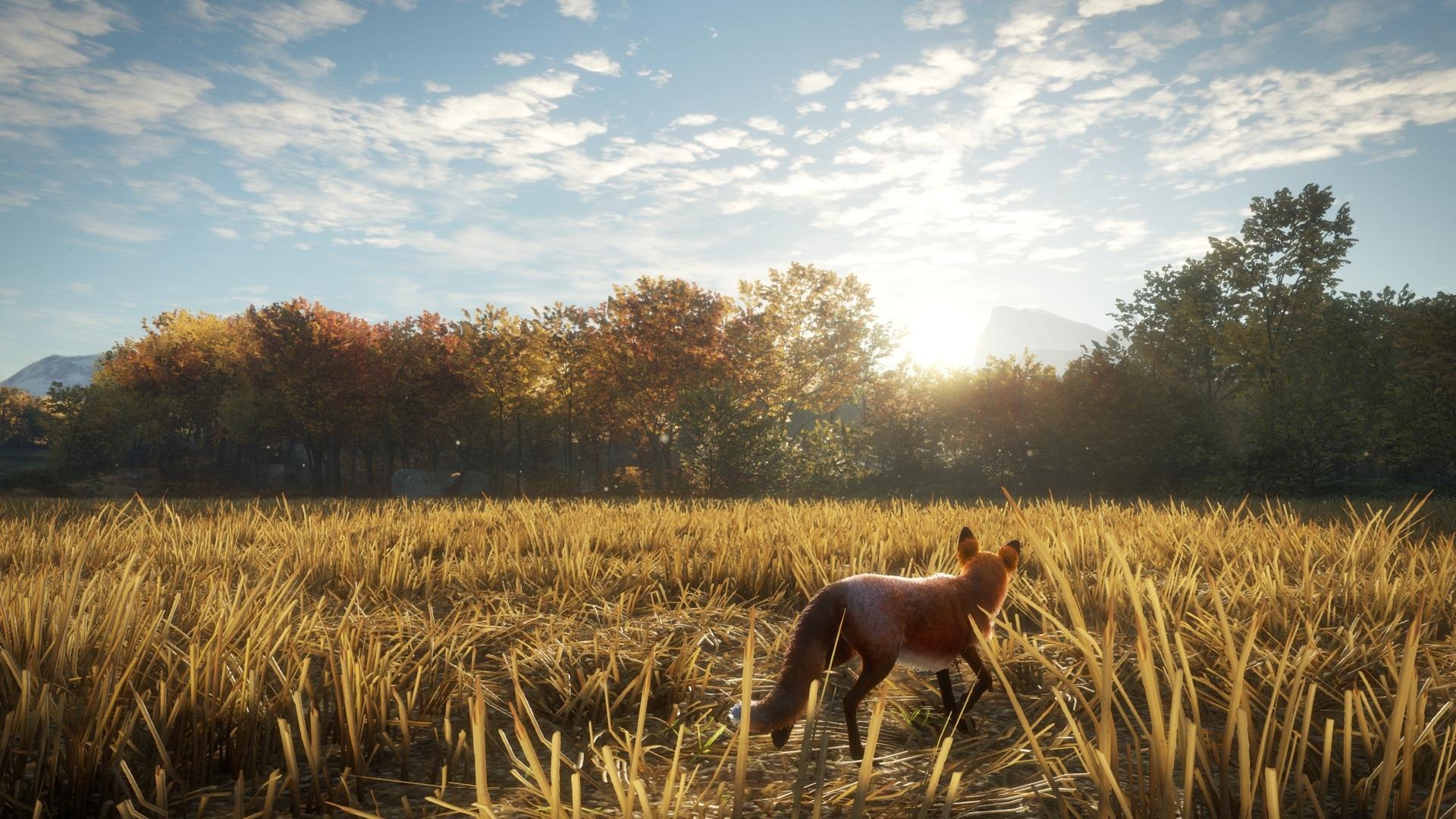 1920x1080 TheHunter: Call Of The Wild HD Wallpaper