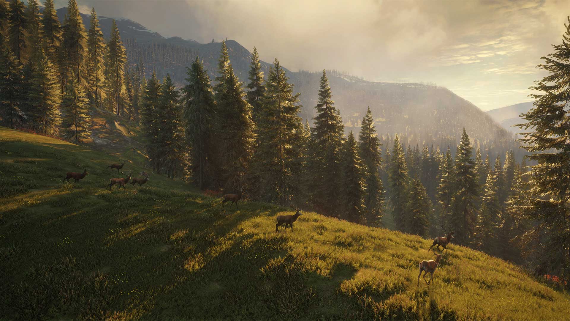 1920x1080 How The Hunter: Call of the Wild devs create the prettiest forests